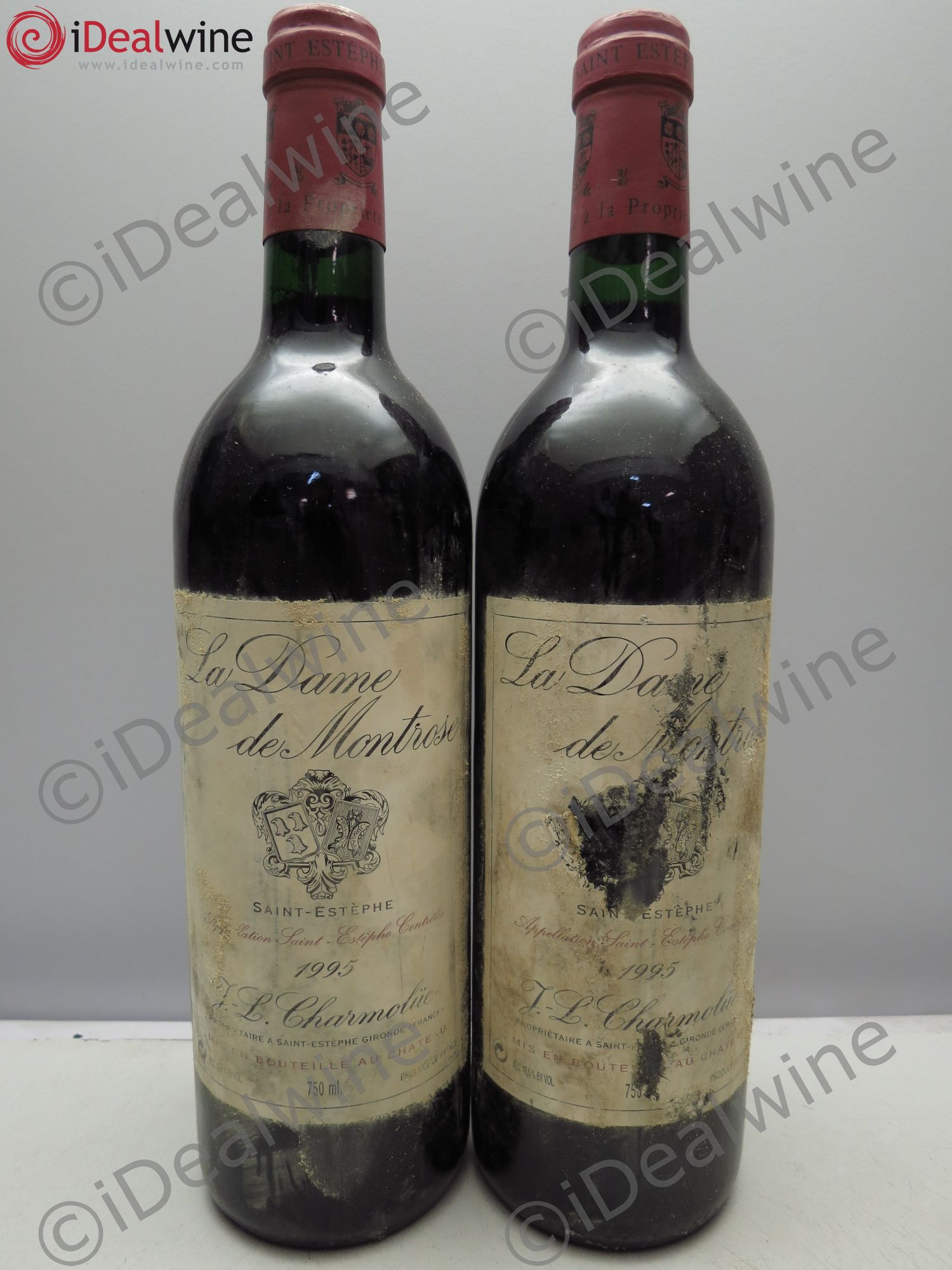 La Dame de Montrose Second Vin 1995 - Lot de 2 bouteilles - 0