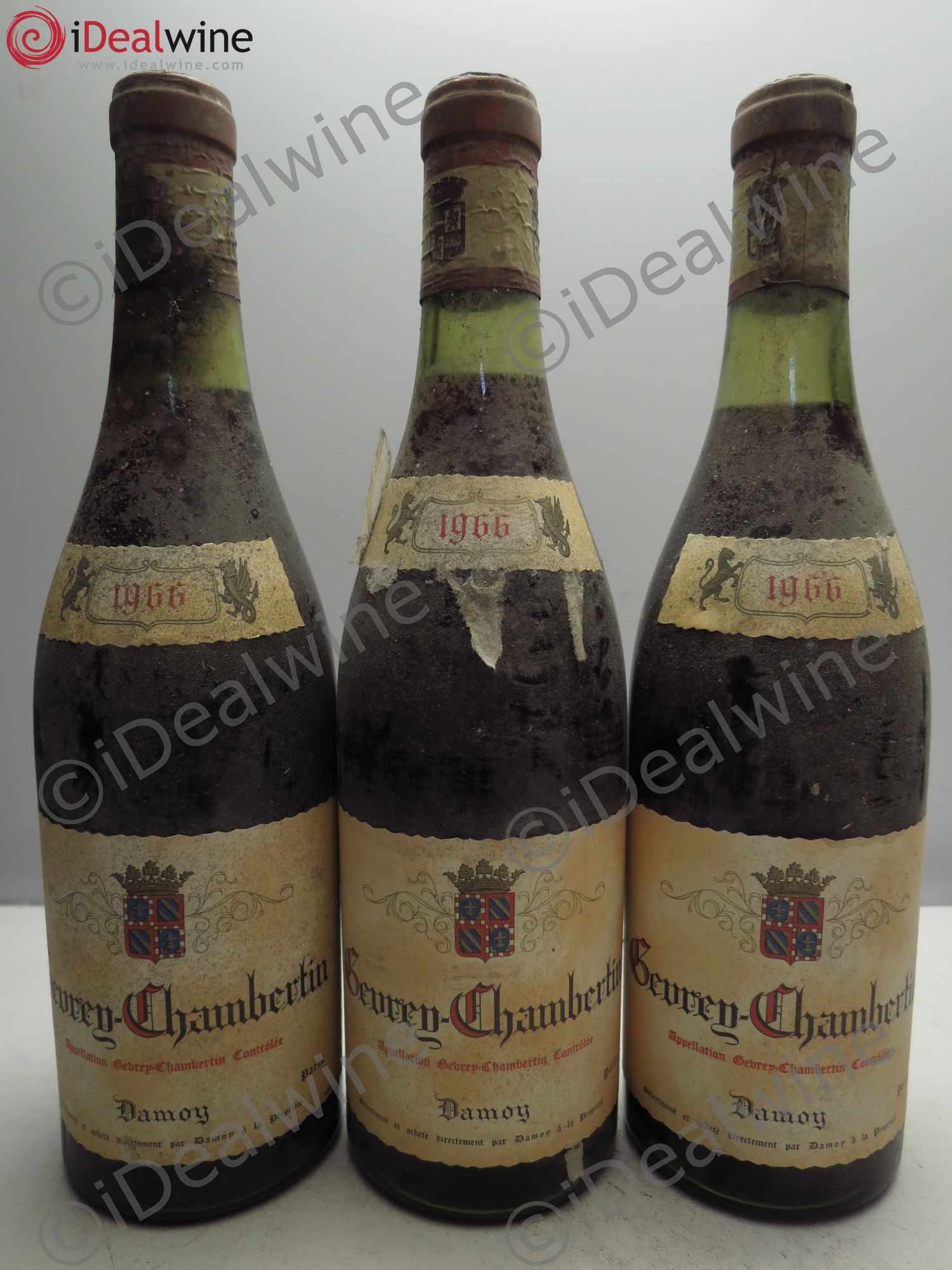 Gevrey-Chambertin Damoy (Trace de papier de soie) 1966 - Posten von 3 Flaschen - 0