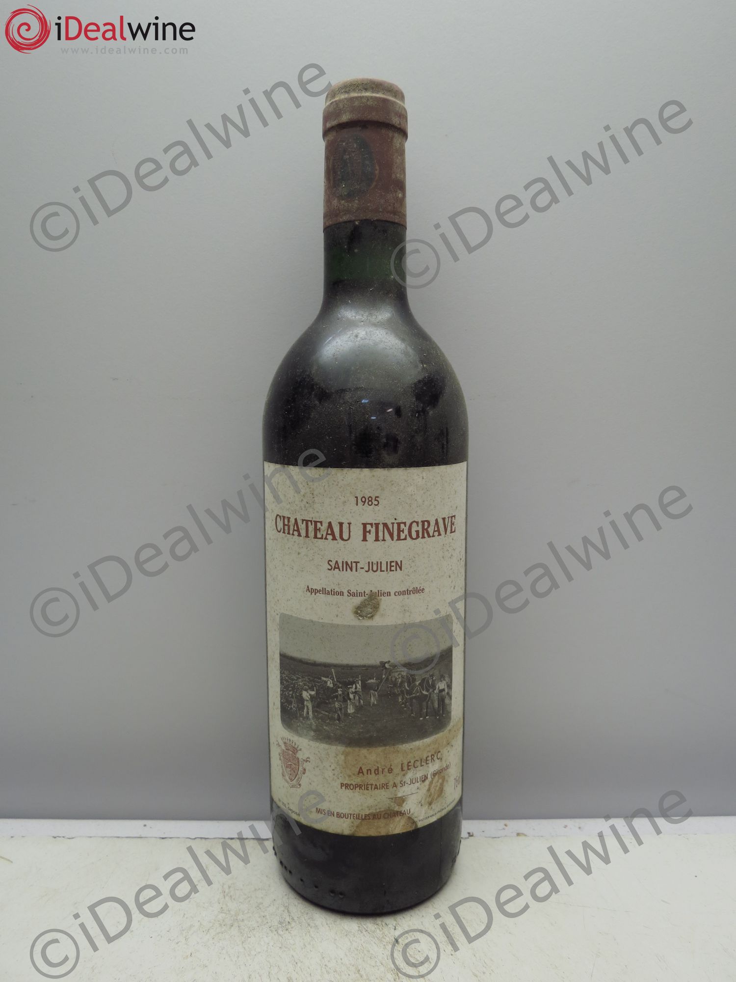 Saint-Julien Château Finegrave 1985 - Lot de 1 bouteille - 0