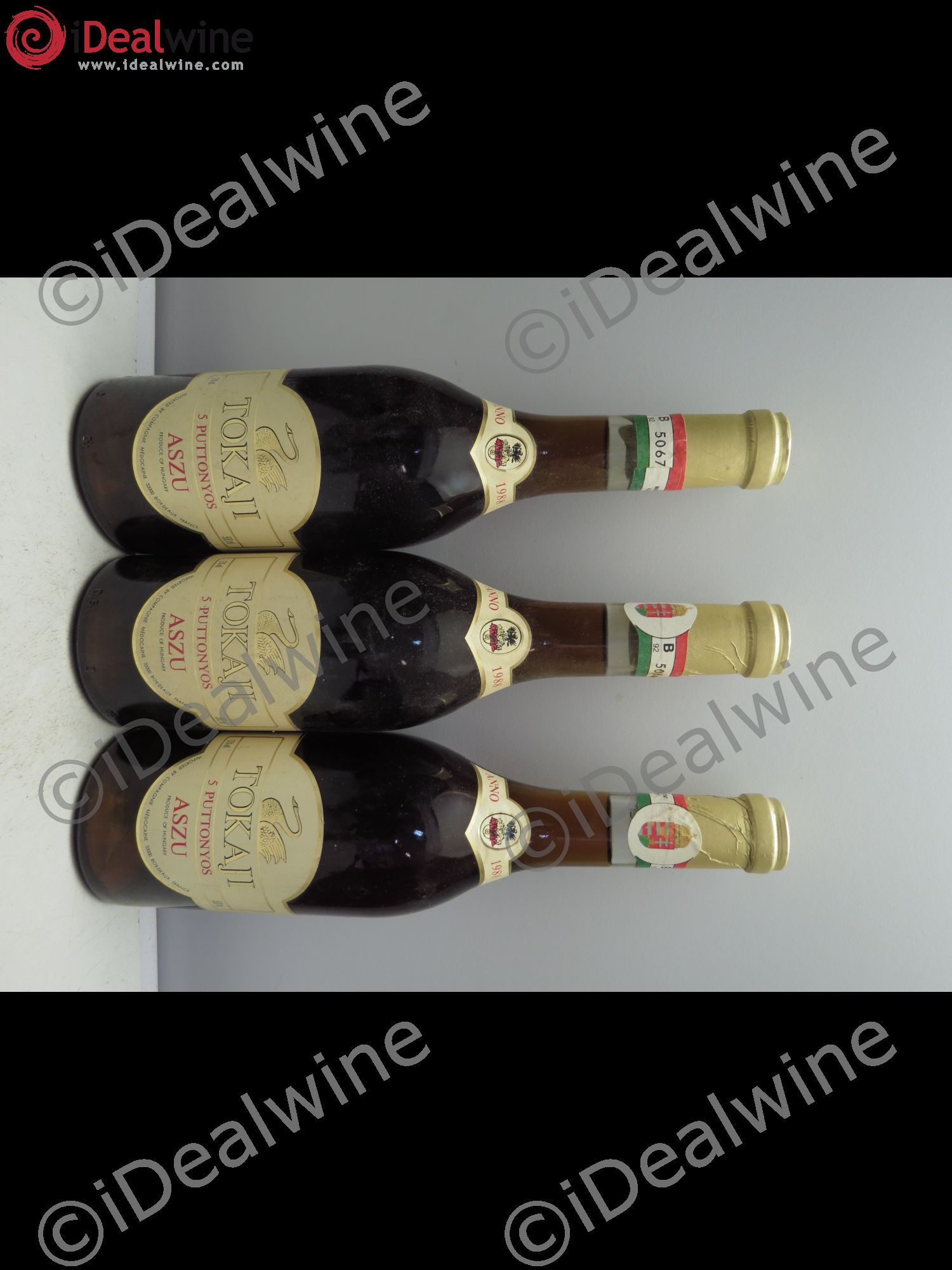Tokaji 5 Puttonyos Aszu 1988 - Lotto di 3 bottiglie - 0
