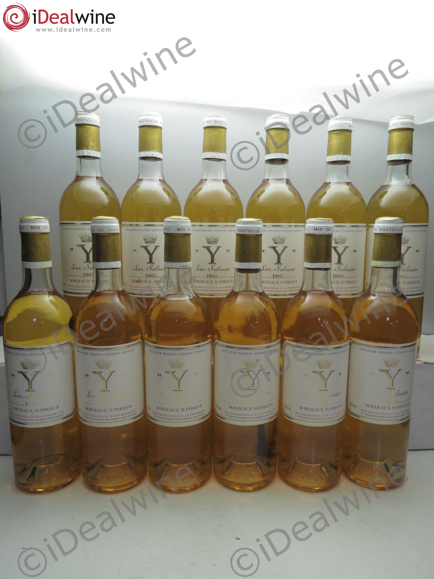 Y de Yquem 1985 - Lot de 12 bouteilles - 0