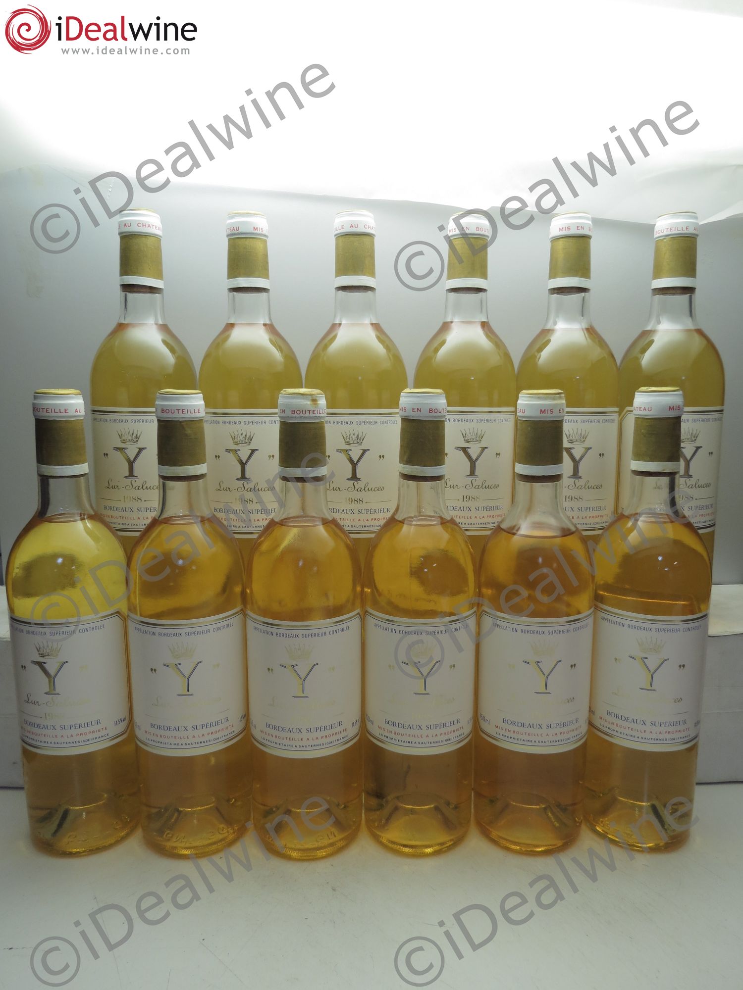 Y de Yquem 1988 - Lot de 12 bouteilles - 0