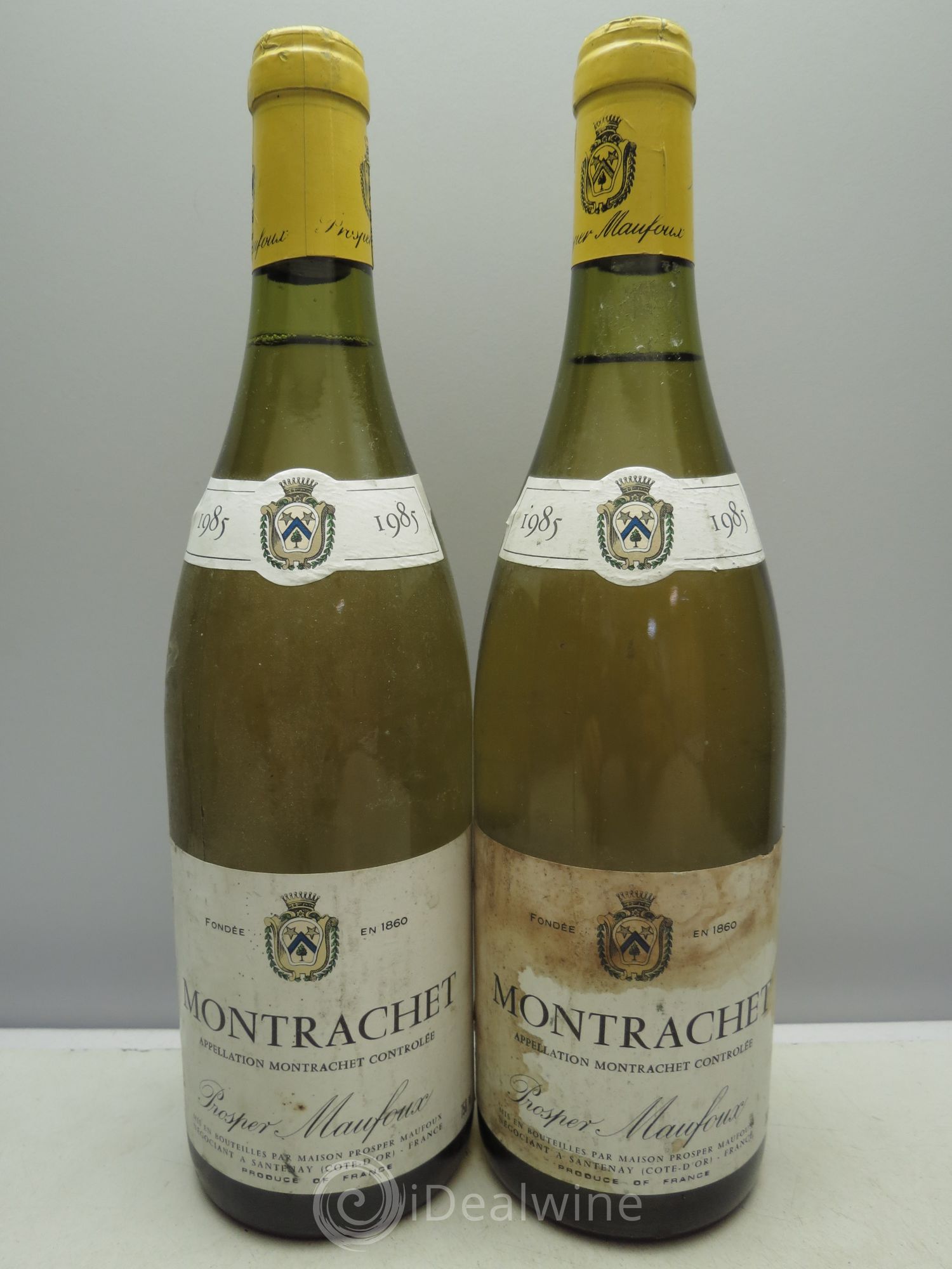 Montrachet Grand Cru Maufoux 1985 - Posten von 2 Flaschen - 0