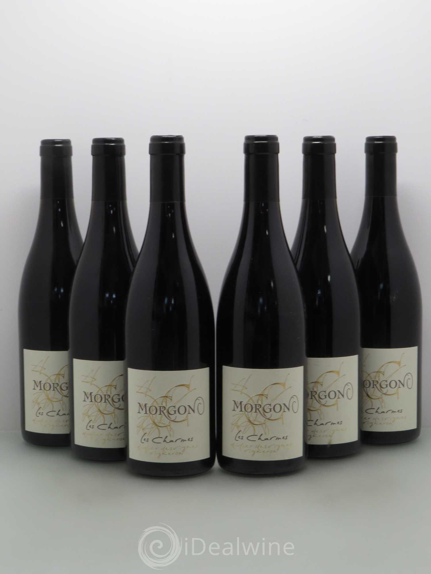 Morgon Didier Desvignes Les Charmes 2009 - Posten von 6 Flaschen - 0