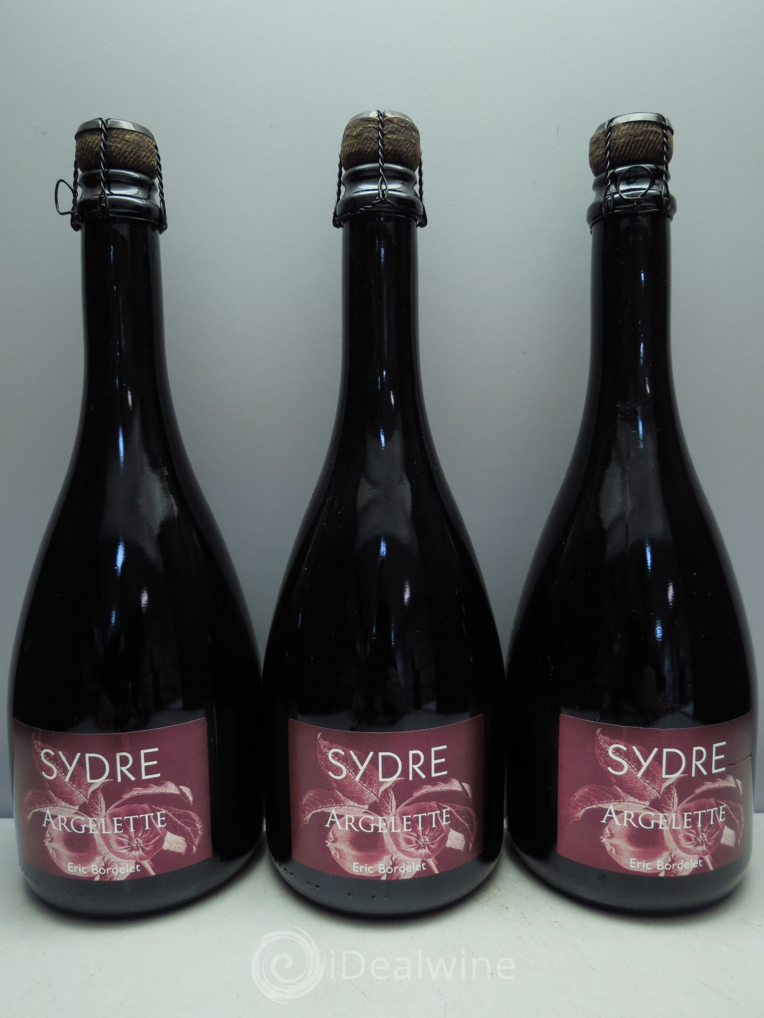 Divers Sydre Grand Cru Argelette - Eric Bordelet - Posten von 3 Flaschen - 0
