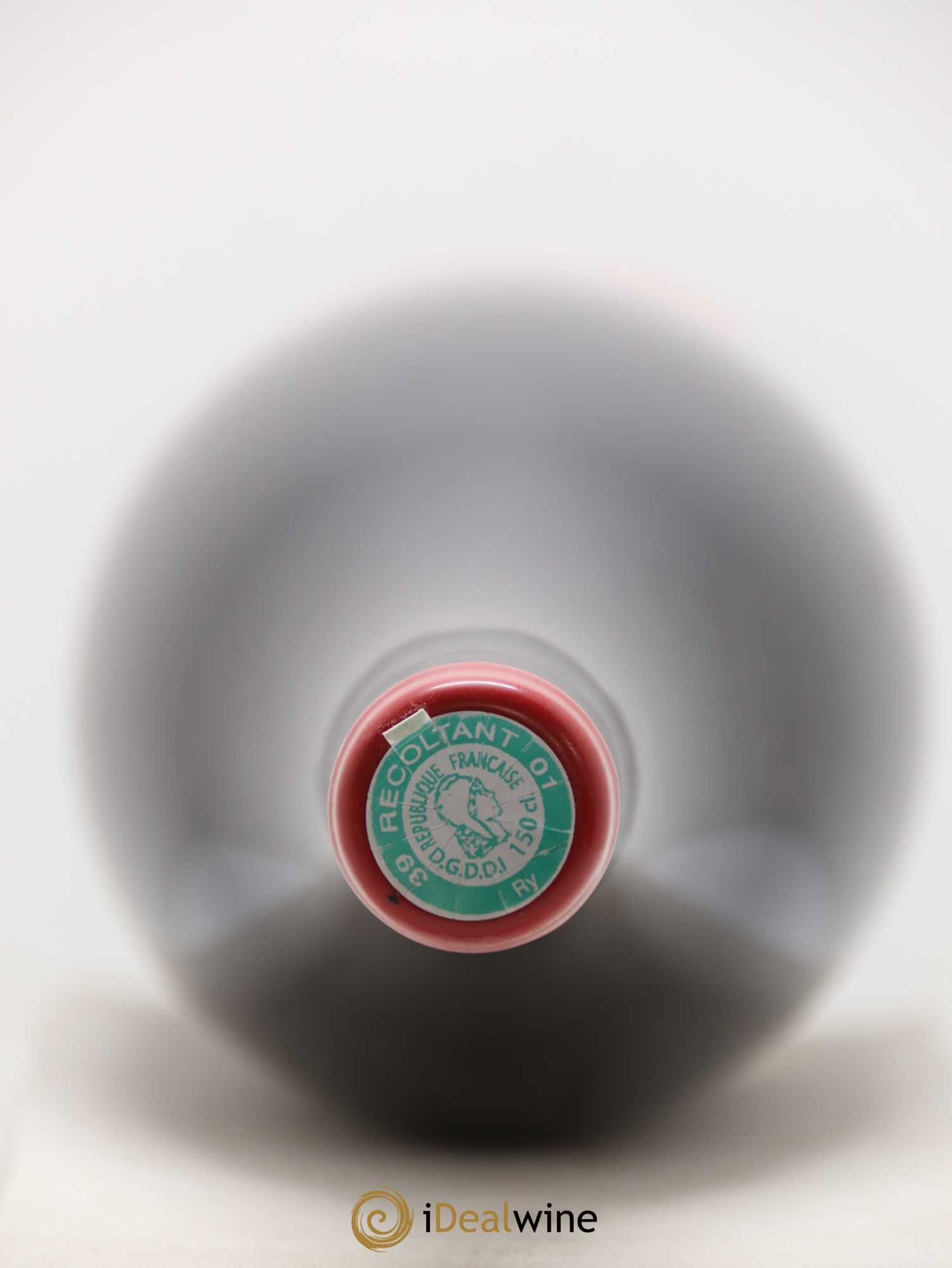 Arbois Pupillin Poulsard Houillon Bruyère 2016 - Posten von 1 Magnum - 2