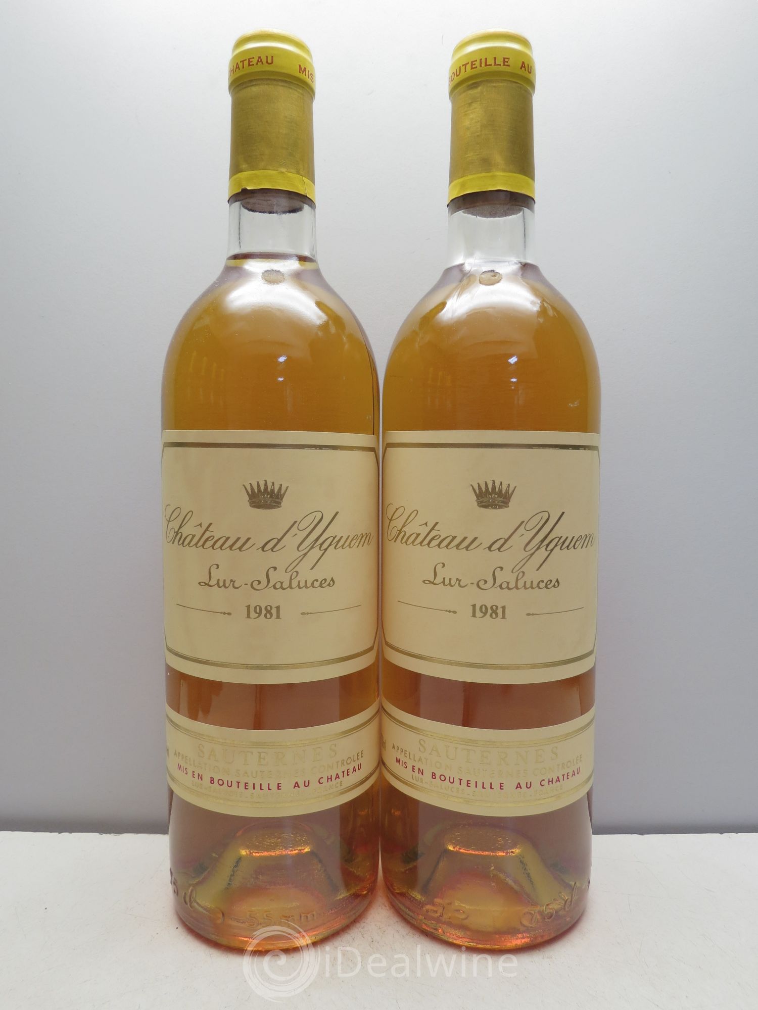 Château d' Yquem 1er Cru Classé Supérieur 1981 - Lotto di 6 bottiglie - 1