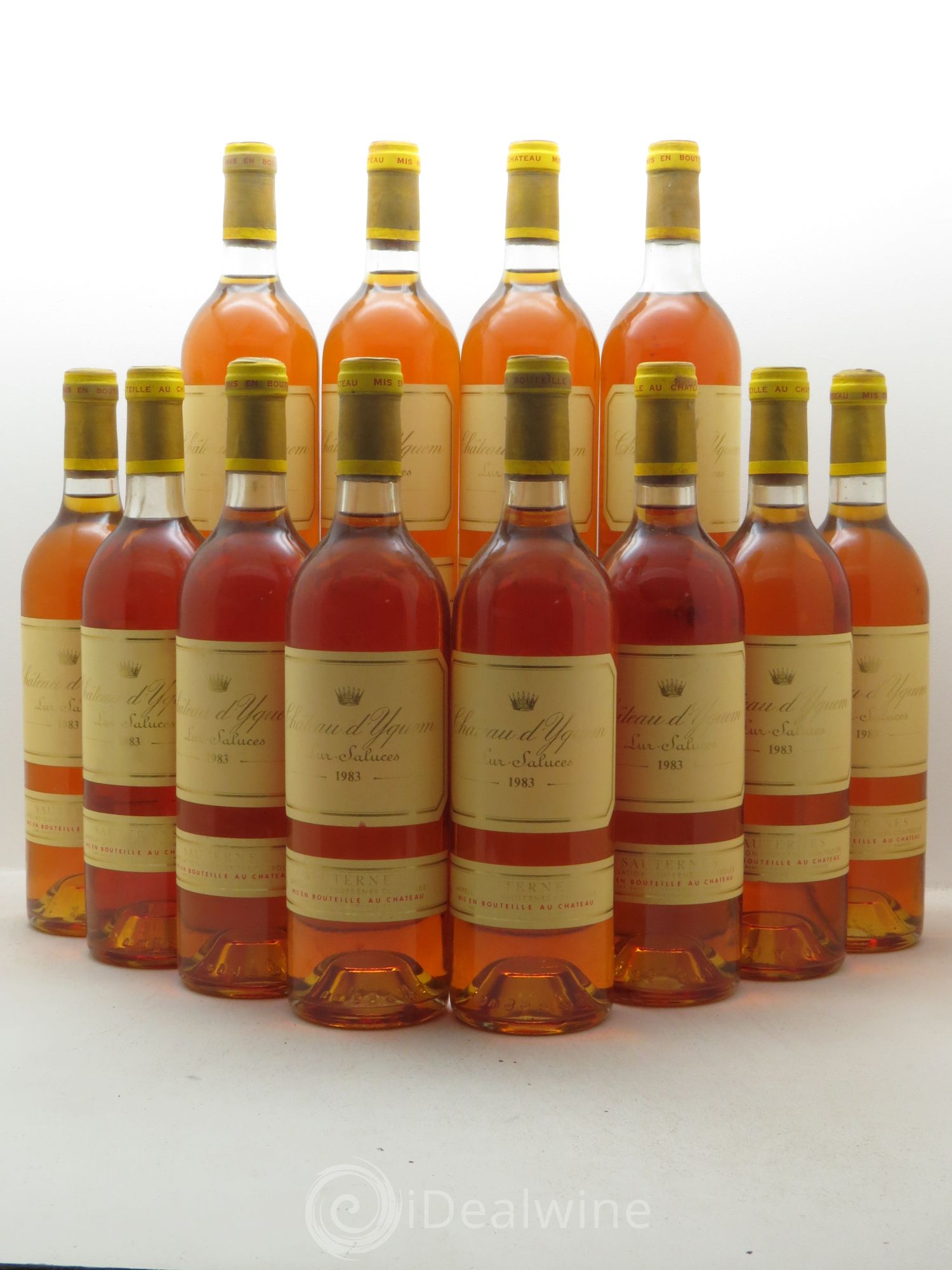 Château d' Yquem 1er Cru Classé Supérieur 1983 - Lotto di 12 bottiglie - 0