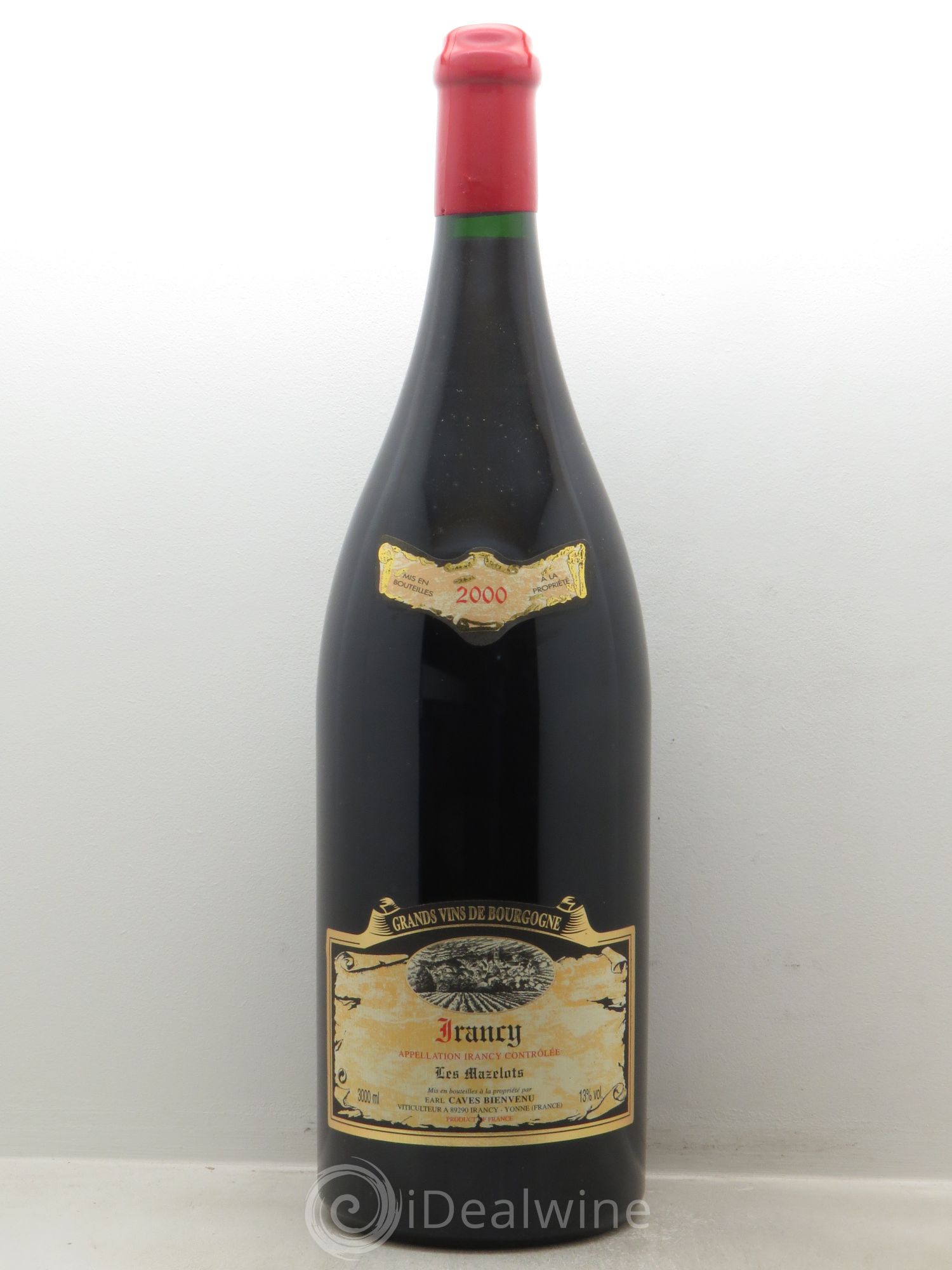 Divers Irancy Palotte EARL Caves de Bienvenu 2000 - Posten von 1 Doppel-Magnum - 0