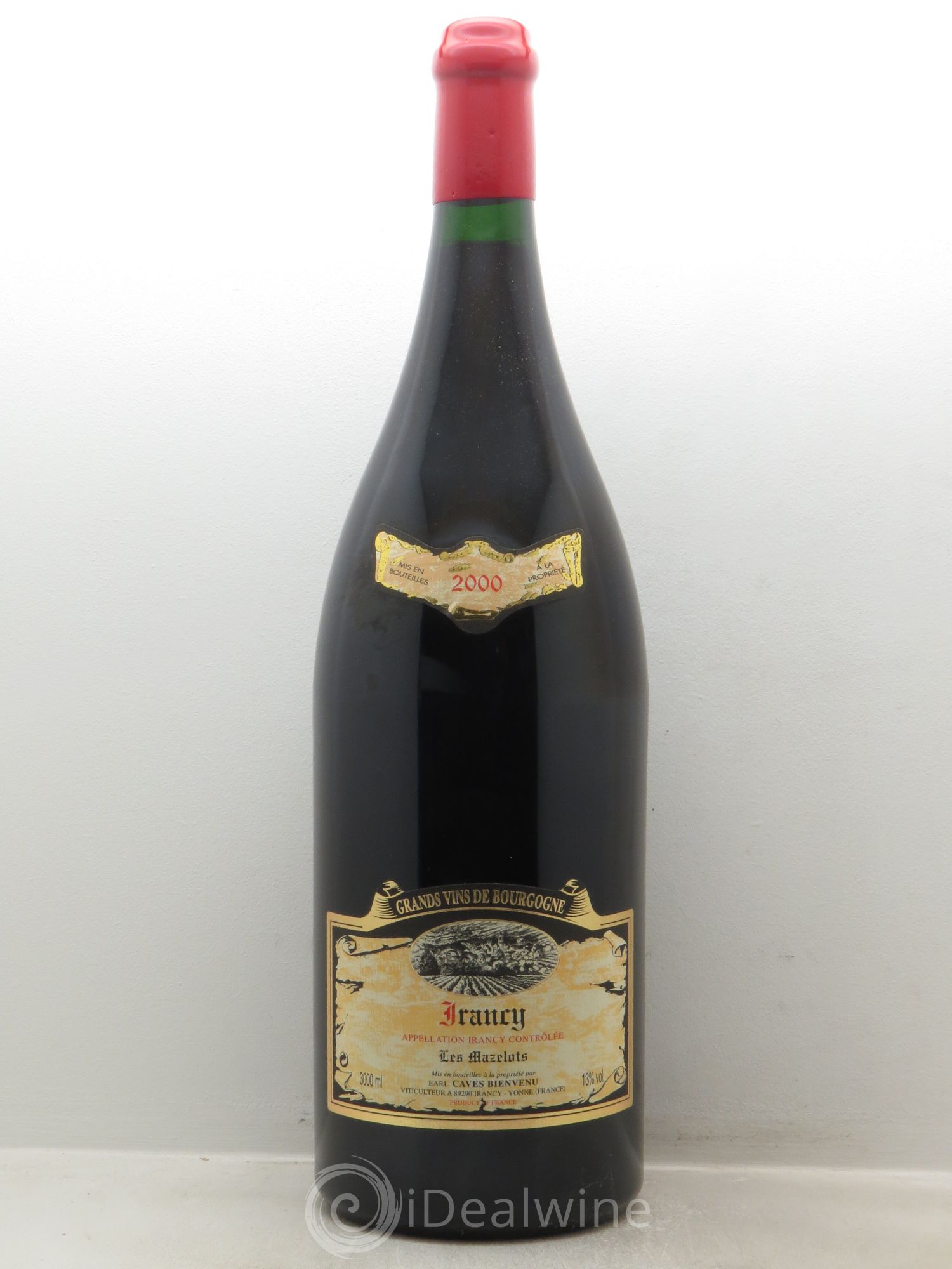 Divers Irancy Palotte EARL Caves de Bienvenu 2000 - Posten von 1 Doppel-Magnum - 0