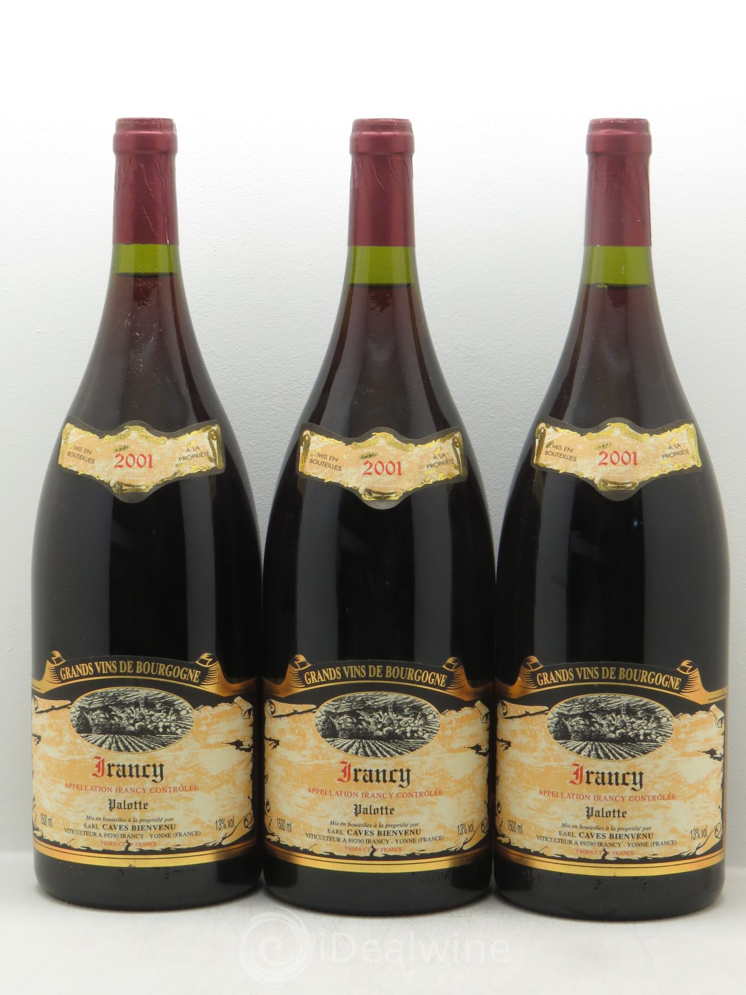 Divers Irancy Palotte Caves Bienvenue (sans prix de réserve) 2001 - Posten von 3 Magnum - 0
