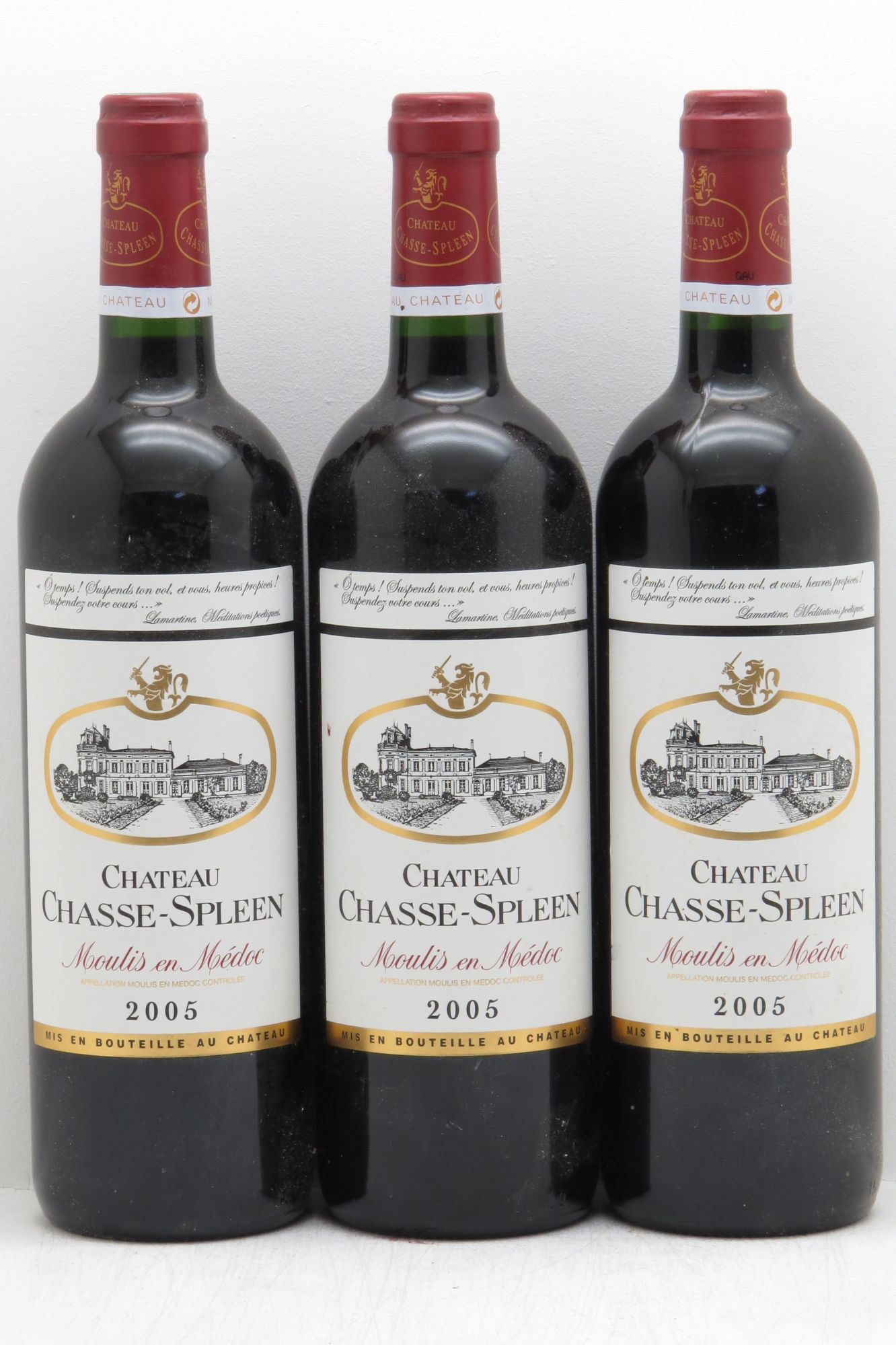 Château Chasse Spleen 2005 - Lot de 3 bouteilles - 0