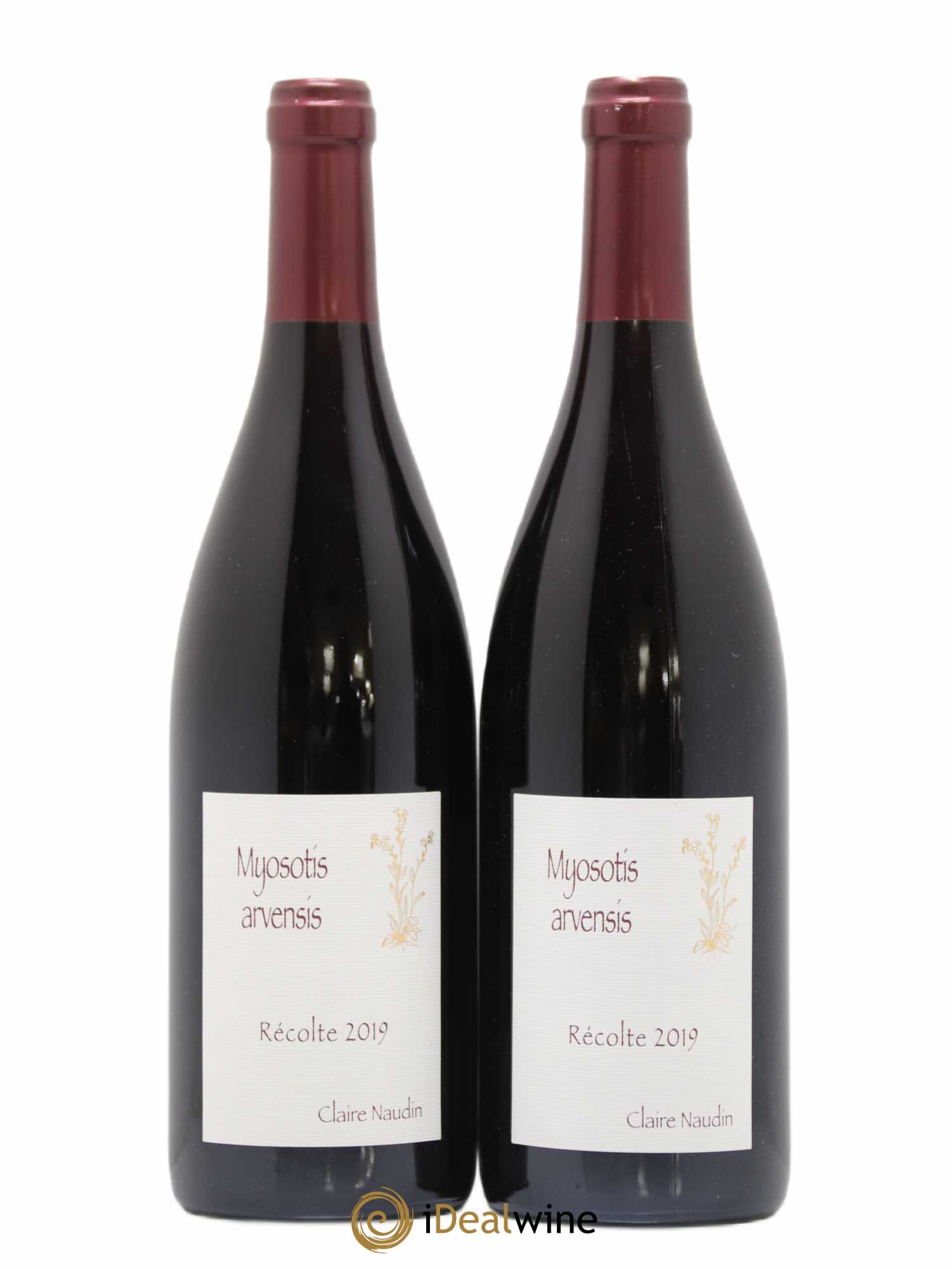 Hautes-Côtes de Nuits Myosotis Arvensis Naudin-Ferrand (Domaine) 2019 - Lot de 2 bouteilles - 0