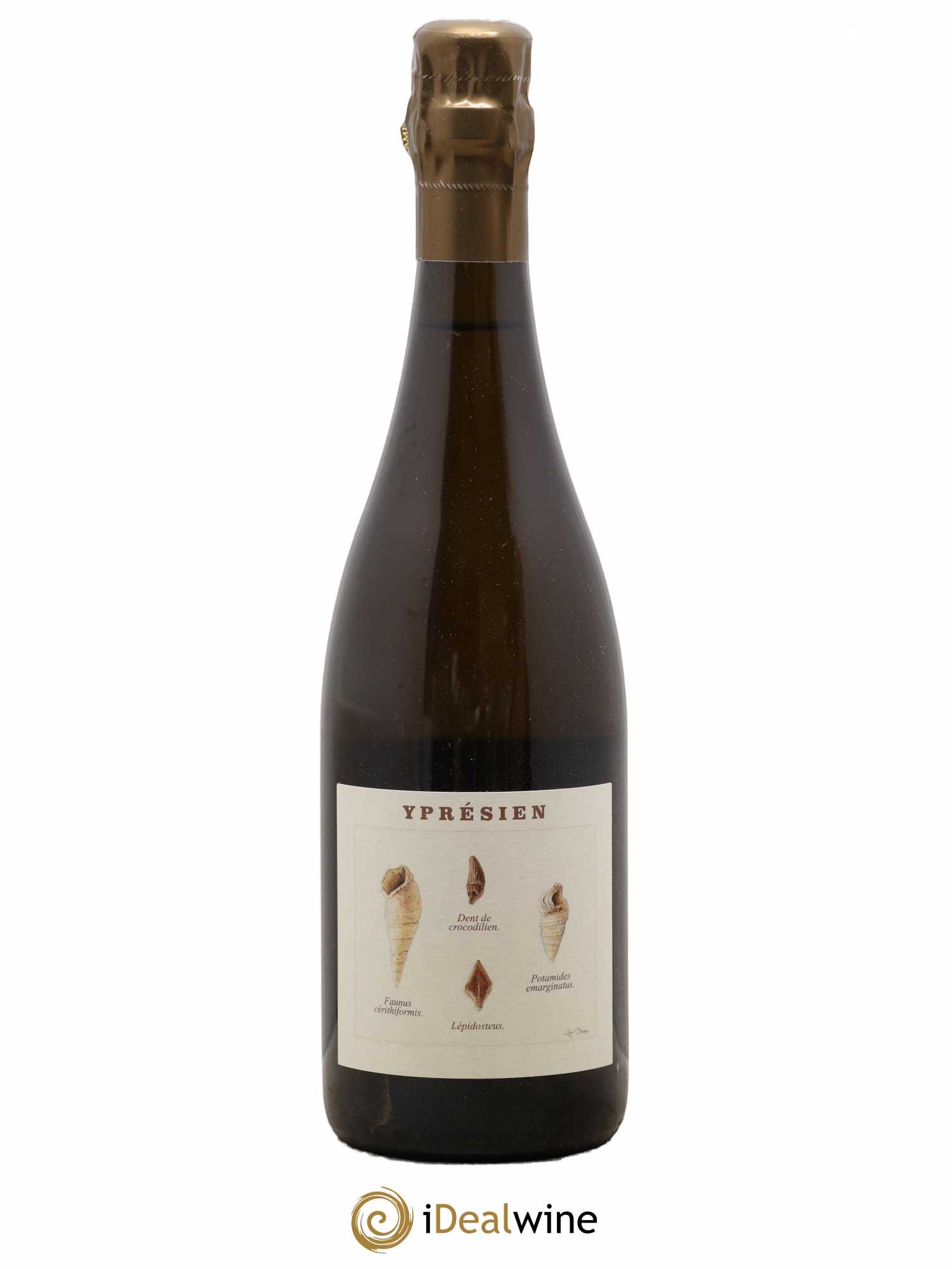 Yprésien Legrand Latour - Posten von 1 Flasche - 0