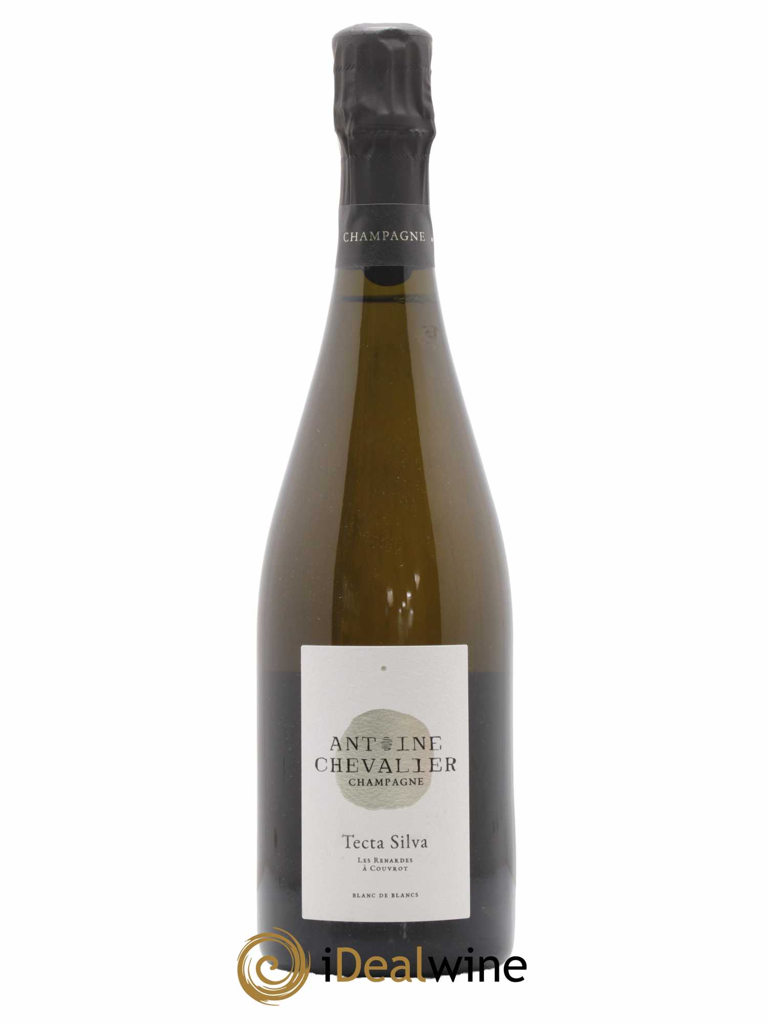 Champagne Antoine Chevalier Tecta Silva Les Renardes 2019 - Lot of 1 bottle - 0