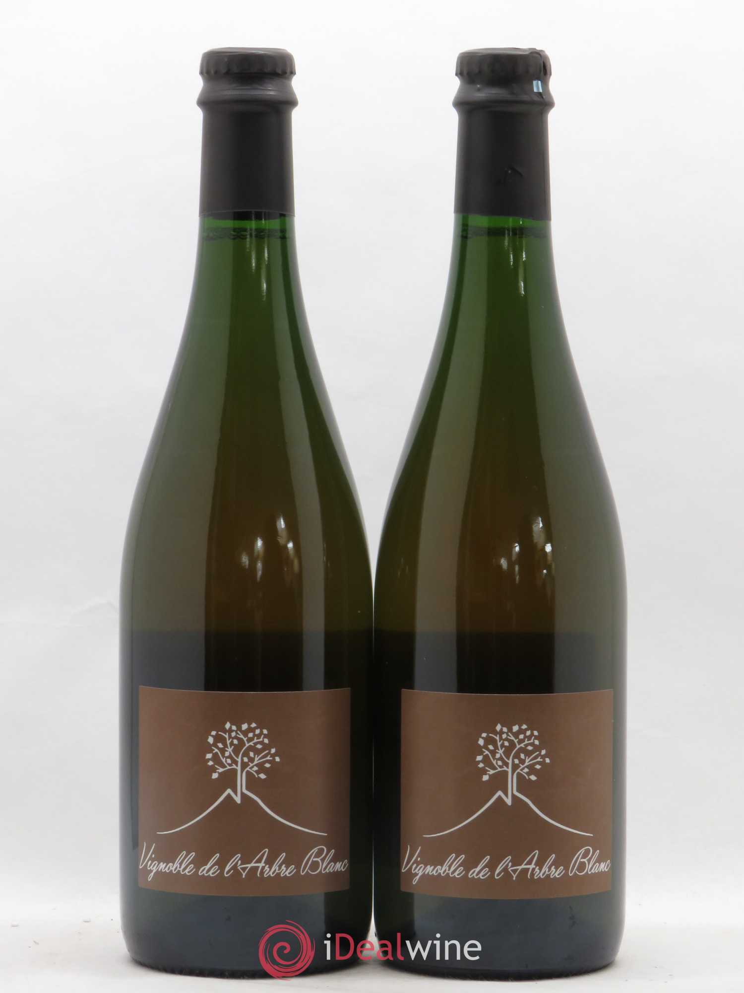 Vin de France Les Fesses Vignoble de l'Arbre Blanc 2017 - Lot de 2 bouteilles - 0