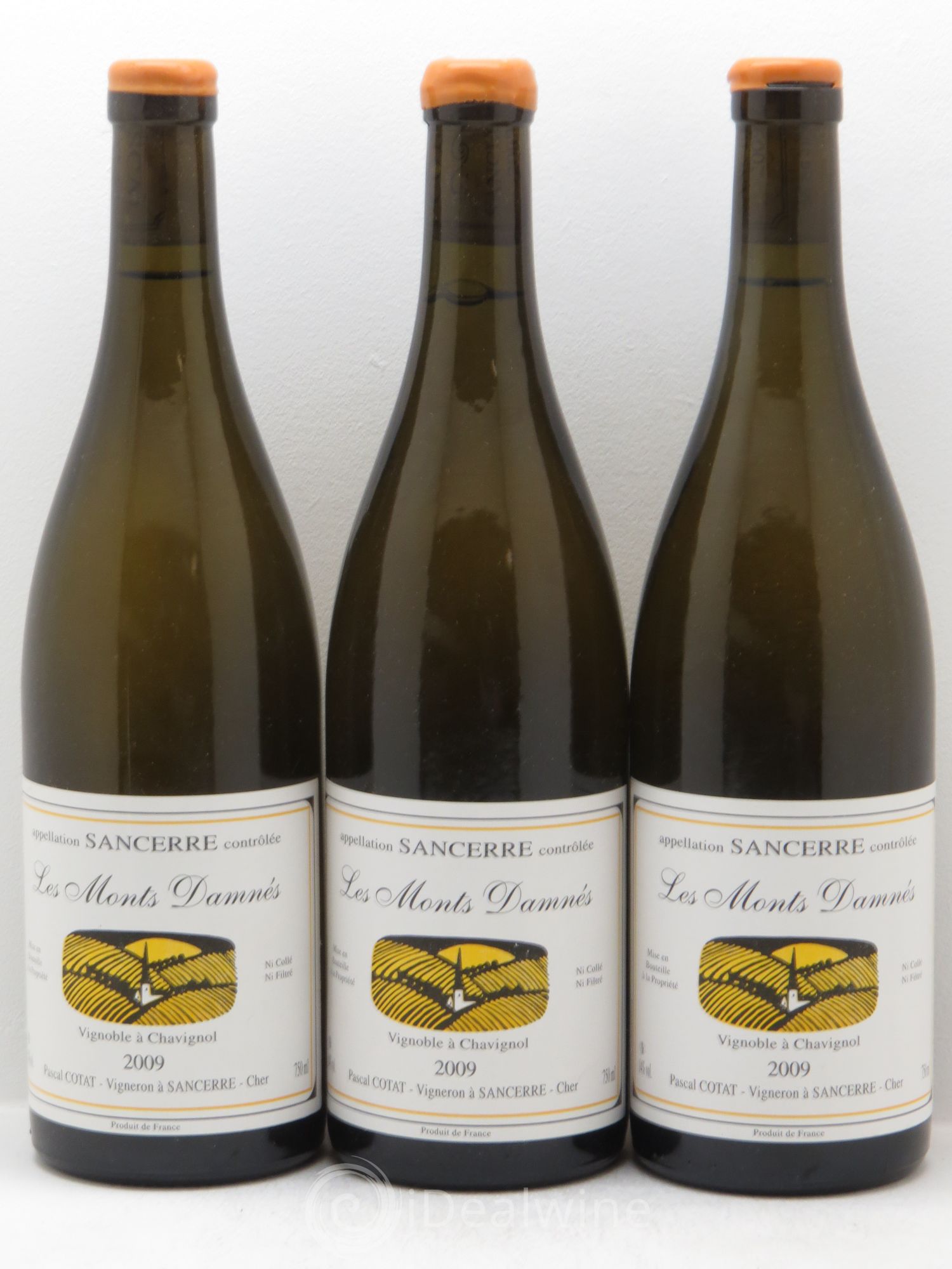 Sancerre Les Monts Damnés Pascal Cotat 2009 - Posten von 3 Flaschen - 0