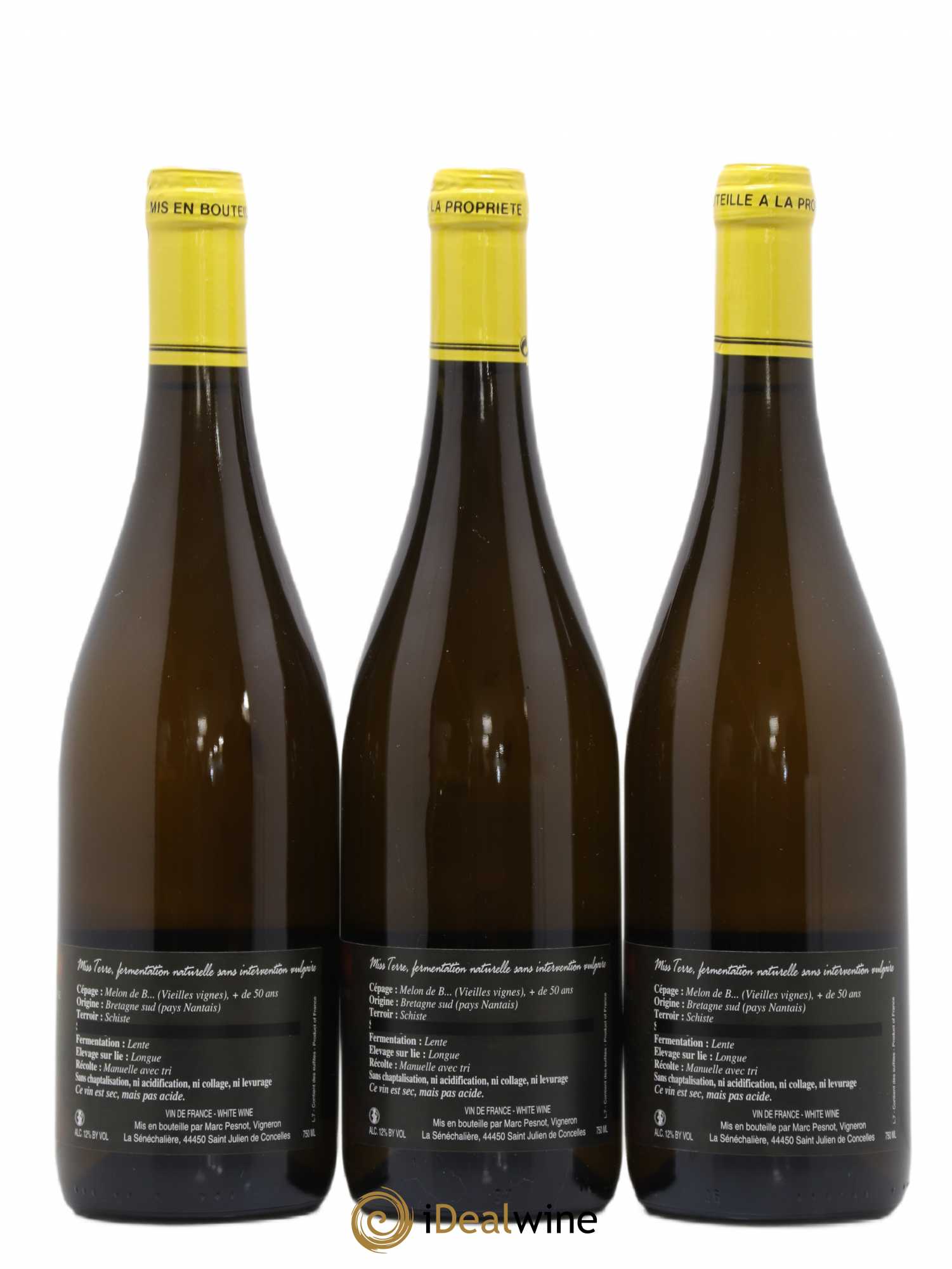 Vin de France Equinoxe Miss Terre Domaine de la Sénéchalière 2012 - Posten von 3 Flaschen - 1
