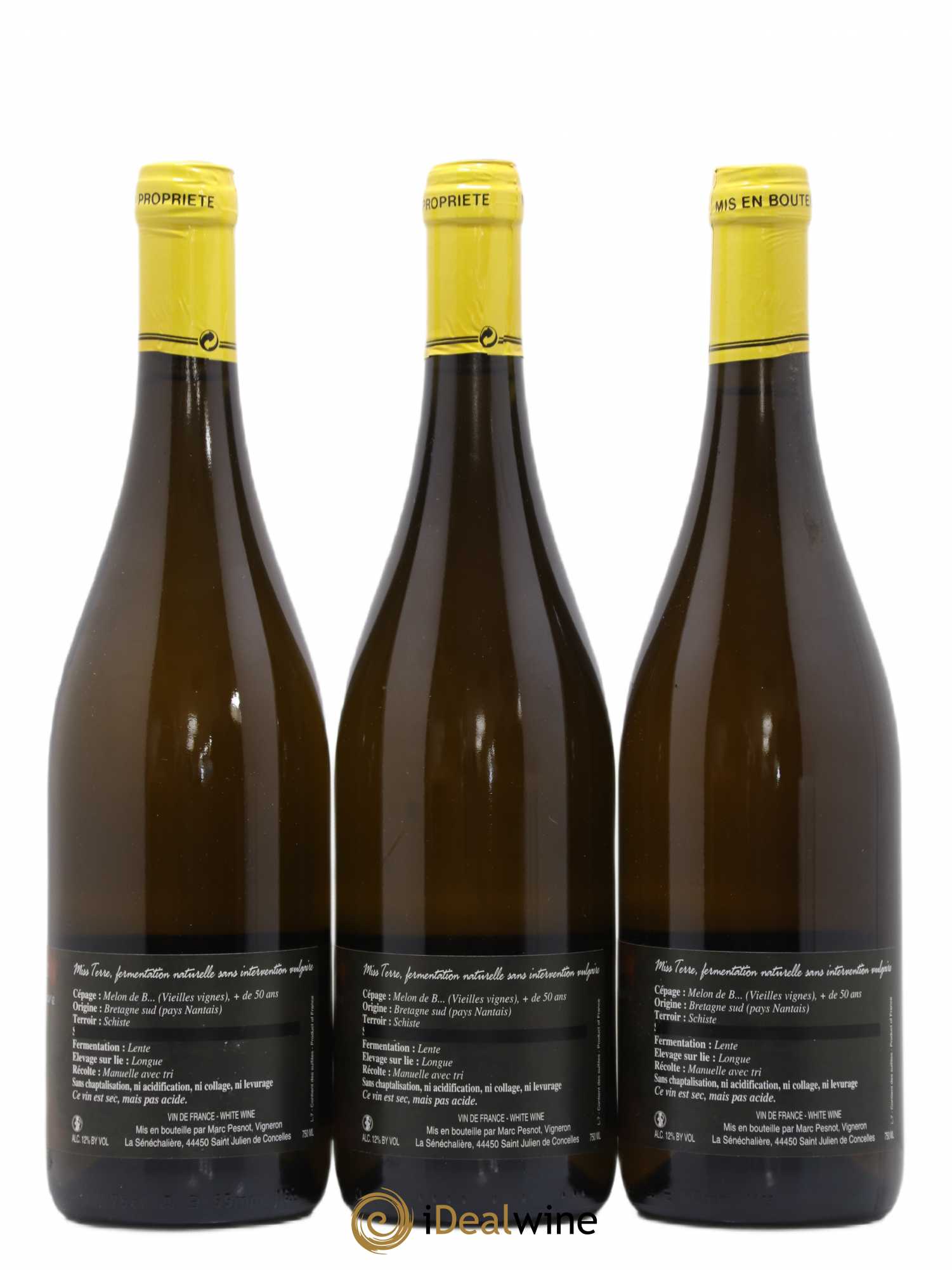 Vin de France Equinoxe Miss Terre Domaine de la Sénéchalière 2012 - Posten von 3 Flaschen - 1