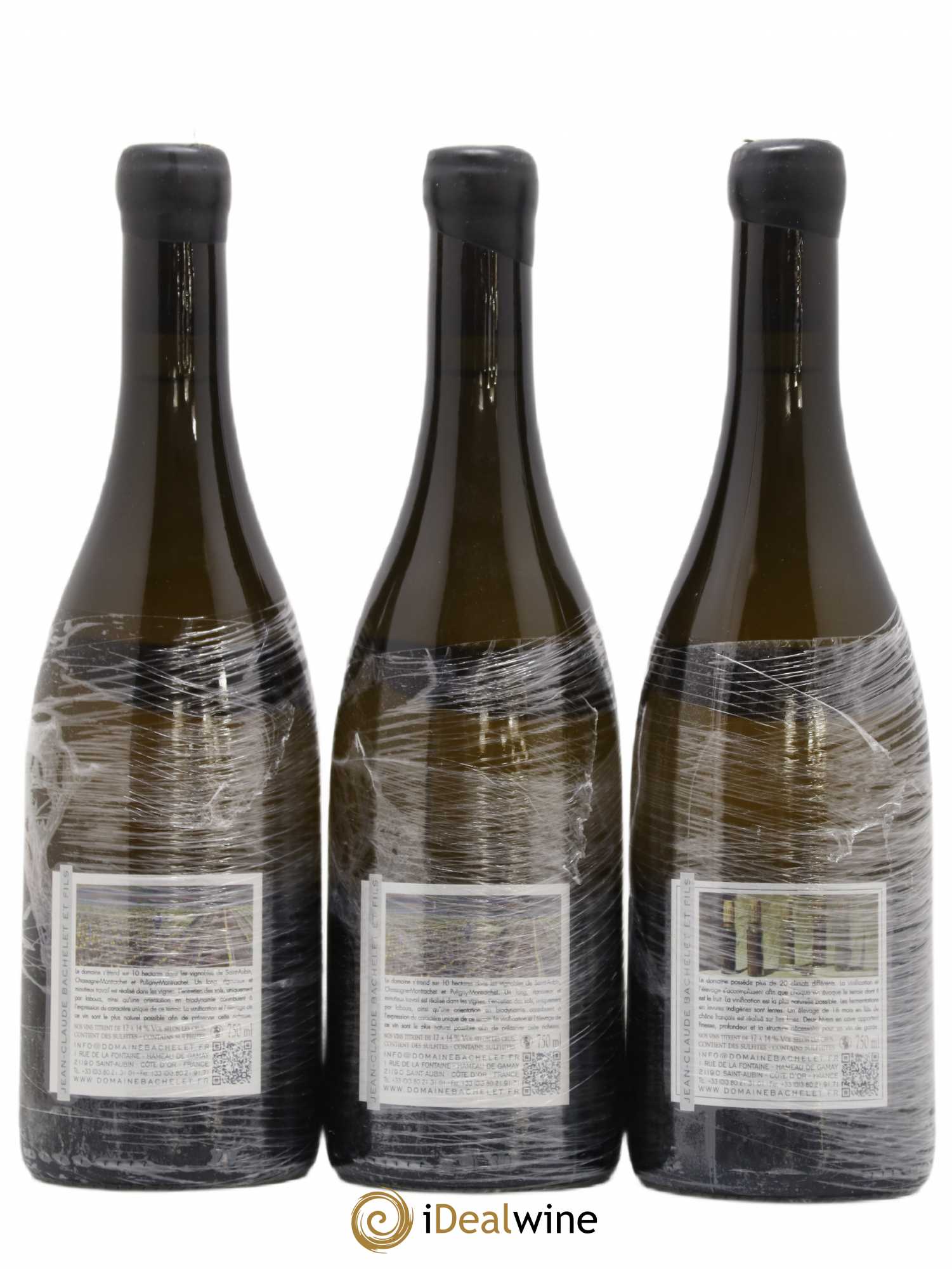 Chassagne-Montrachet 1er Cru Blanchot Dessus Jean-Claude Bachelet (Domaine) 2013 - Lot de 3 bouteilles - 1