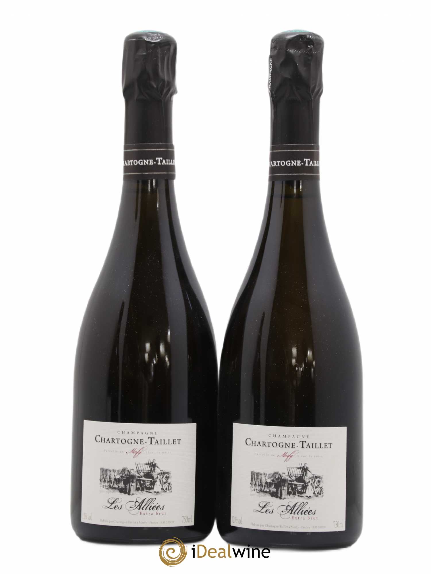 Champagne 2008 - Posten von 2 Flaschen - 0