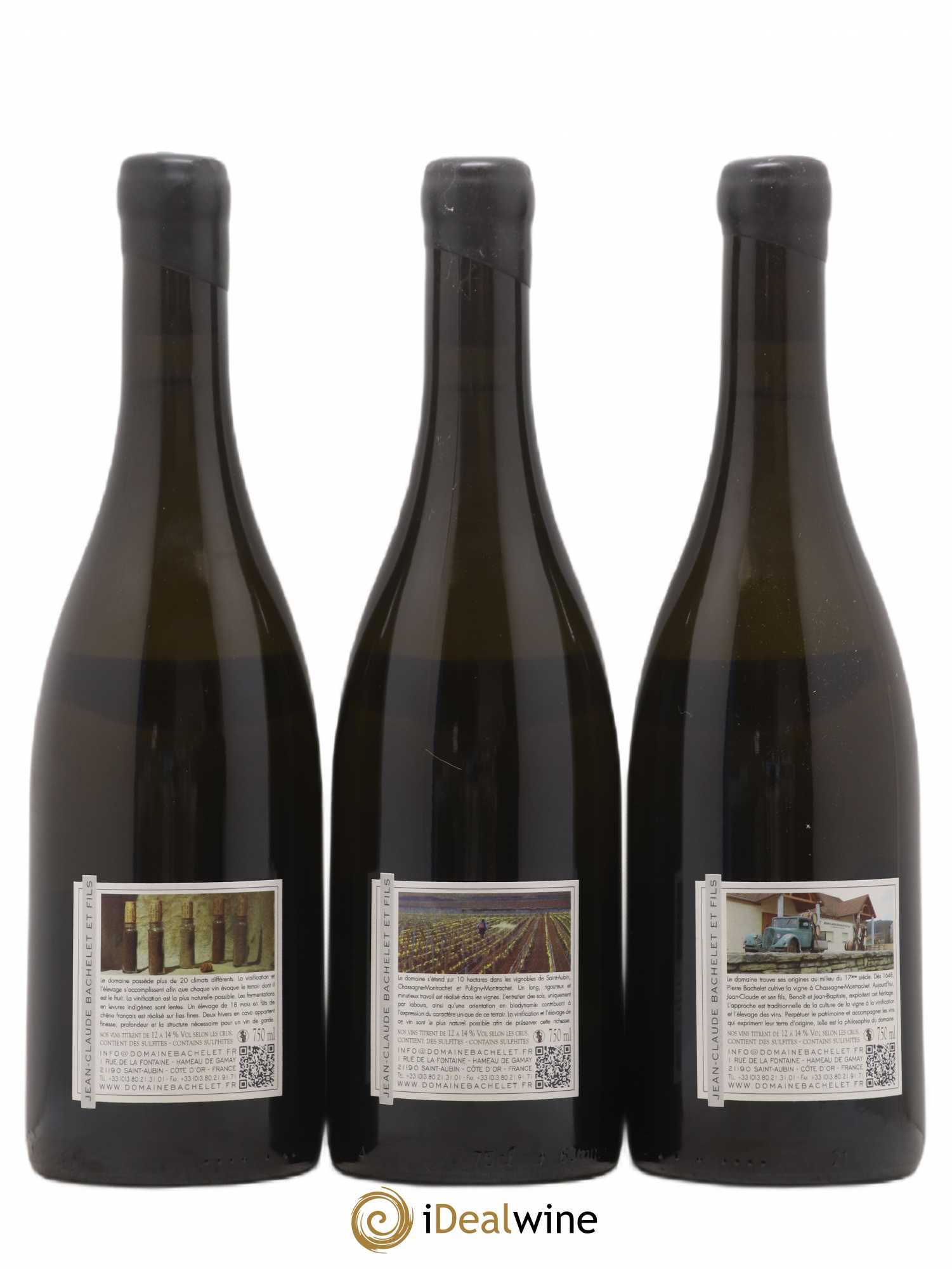 Chassagne-Montrachet 1er Cru Blanchot Dessus Jean-Claude Bachelet (Domaine) 2014 - Lot de 3 bouteilles - 1