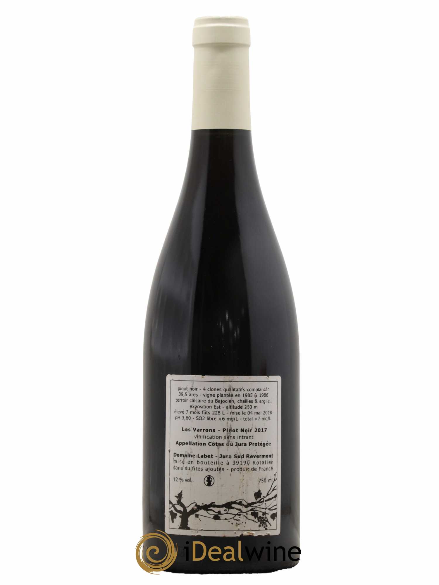 Côtes du Jura Pinot Noir Les Varrons Sélection Massale Romain - Julien  - Charline Labet 2017 - Lot de 1 bouteille - 1