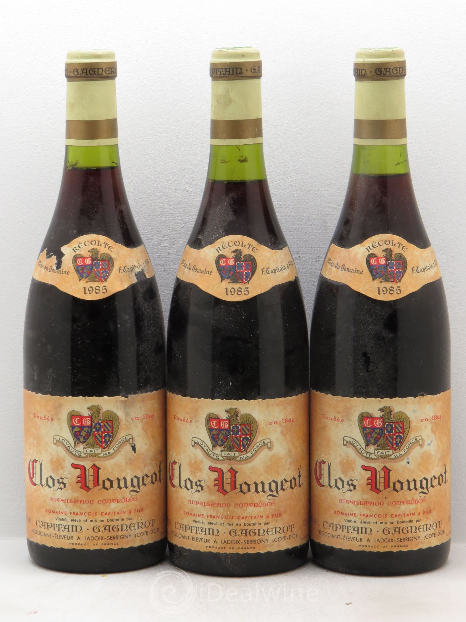 Clos de Vougeot Grand Cru François Capitain et fils 1985 - Lotto di 3 bottiglie - 0