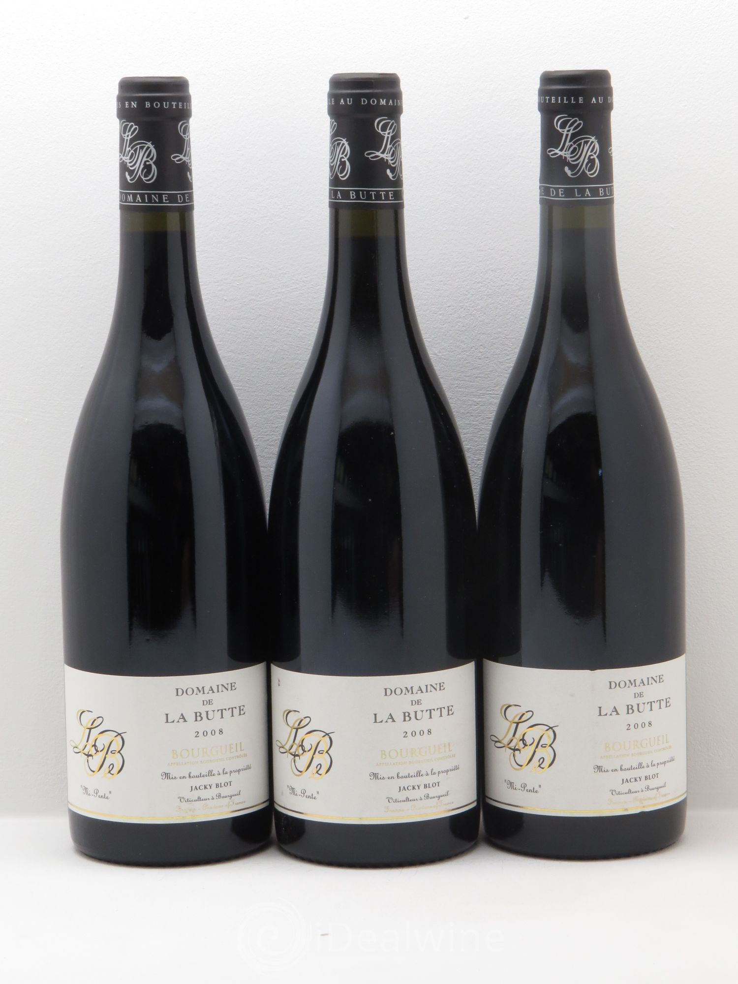 Bourgueil Mi-Pente Domaine de La Butte - Jacky Blot 2008 - Lot de 3 bouteilles - 0