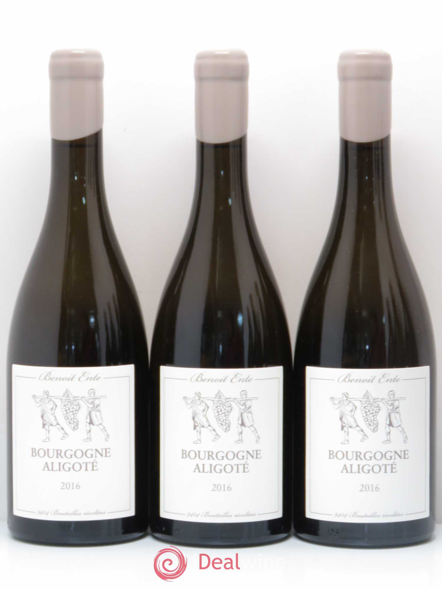Bourgogne Aligoté Benoit Ente (sans prix de réserve) 2016 - Lot de 6 bouteilles - 1
