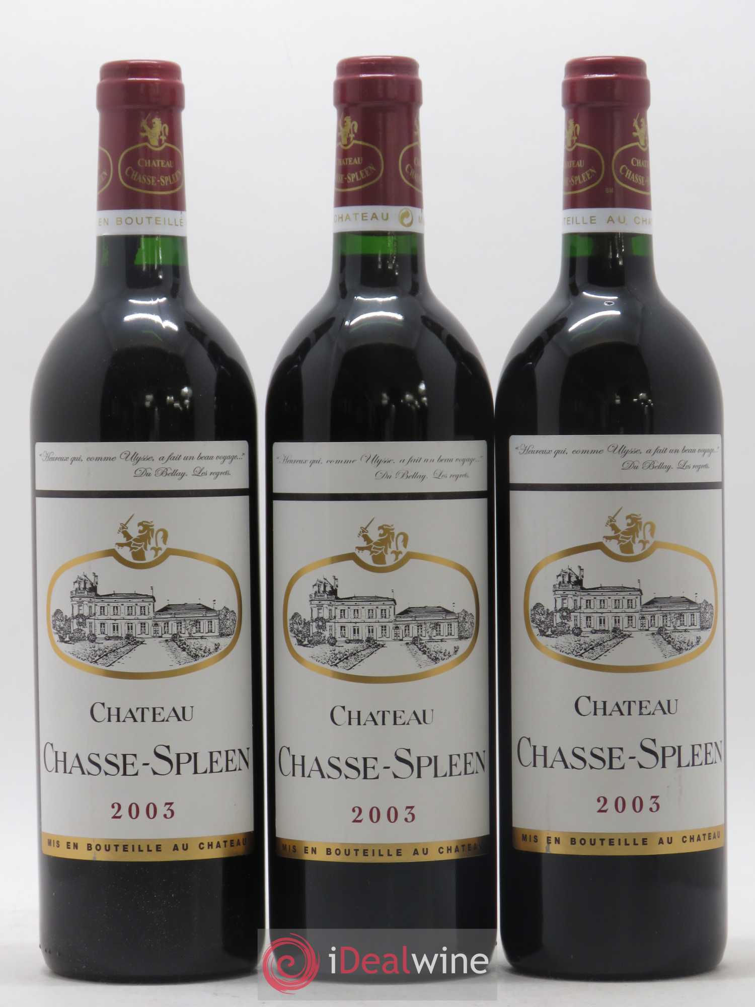 Château Chasse Spleen 2003 - Lot de 12 bouteilles - 1