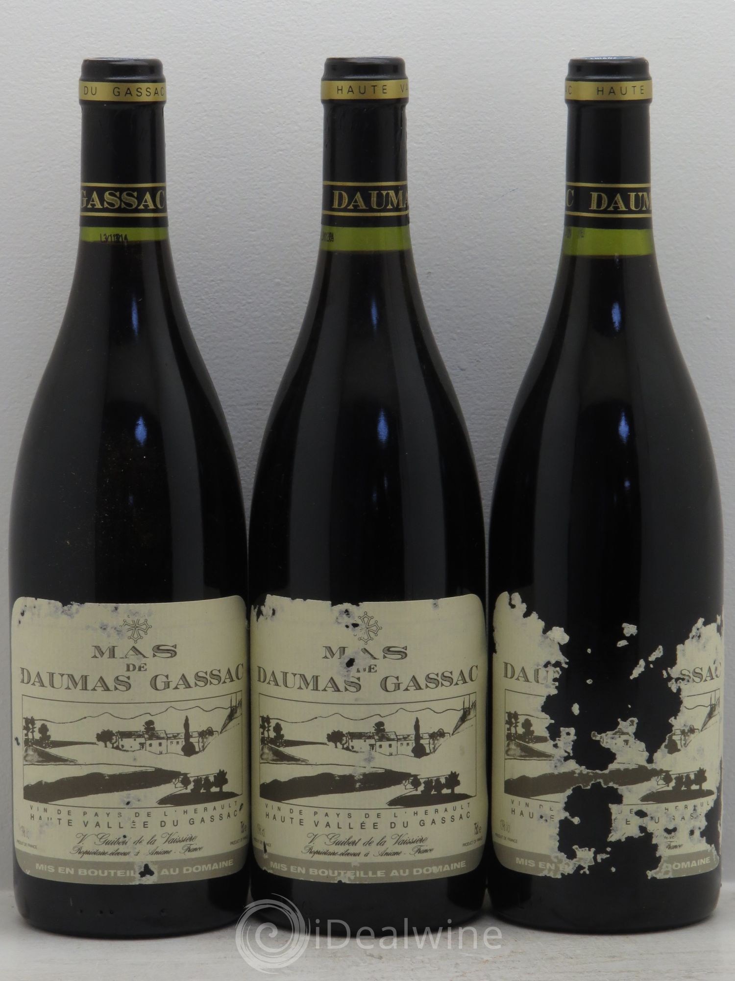 Saint-Guilhem-le-Désert - Cité d'Aniane Mas Daumas Gassac Famille Guibert de La Vaissière 1991 - Lot de 12 bouteilles - 2