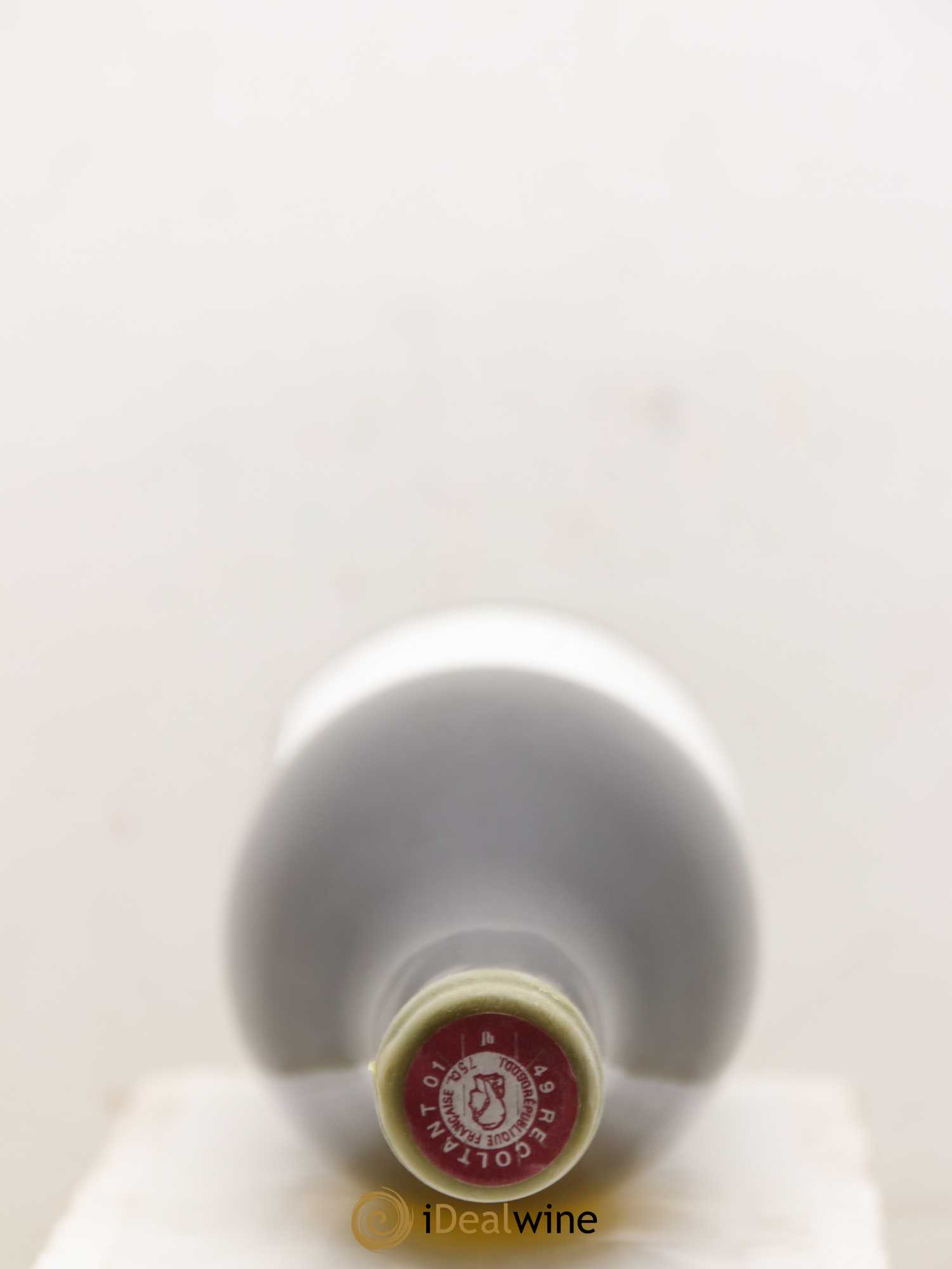 Vin de France Les Onglés Stéphane Bernaudeau 2019 - Lot de 1 bouteille - 1