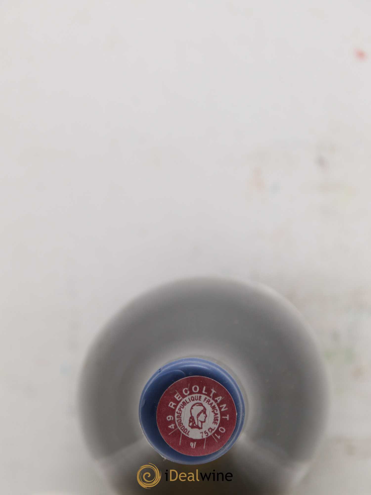 Vin de France Les Nourrissons Stéphane Bernaudeau 2019 - Lot de 1 bouteille - 1