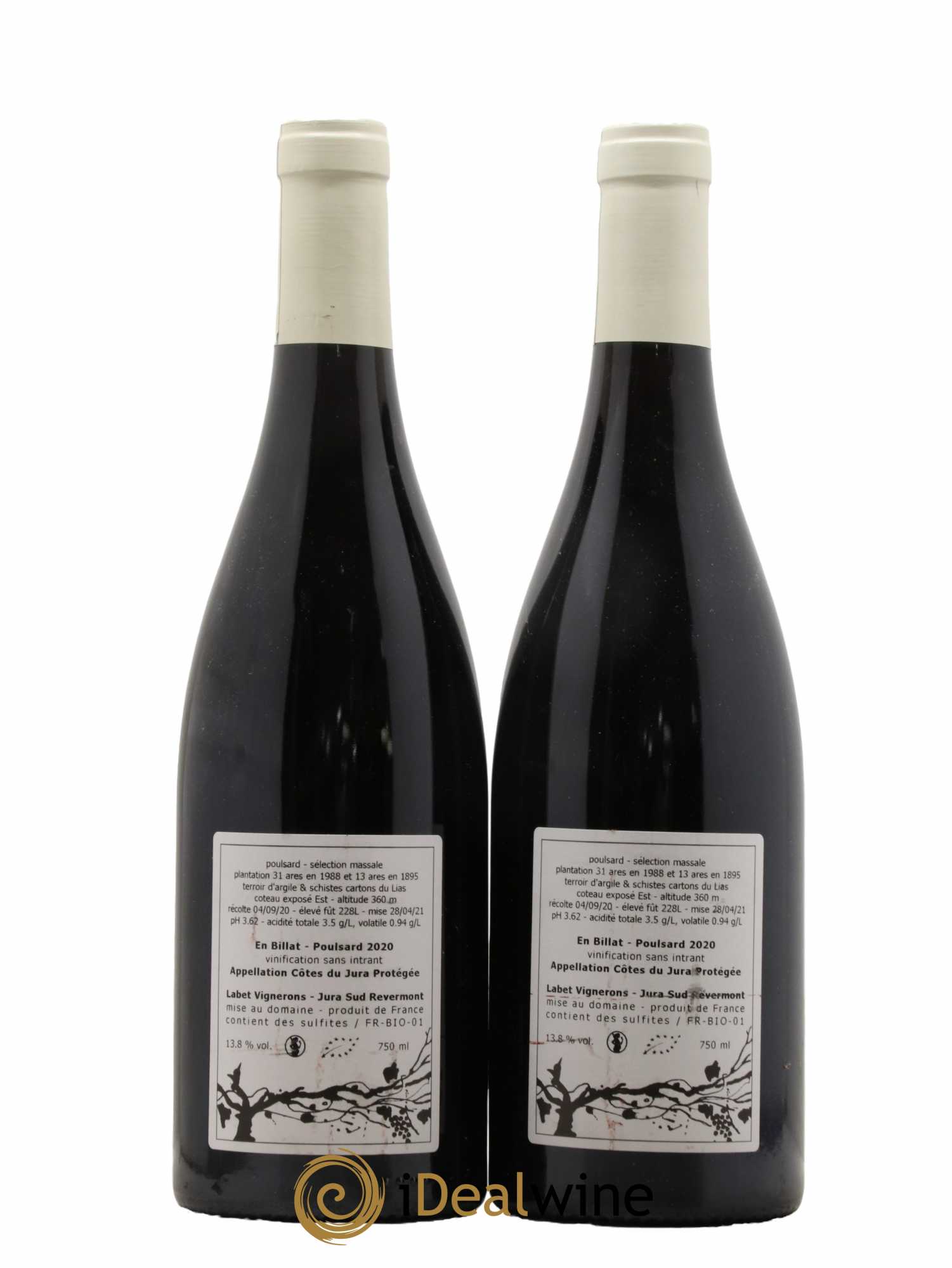 Côtes du Jura Poulsard En Billat Romain - Julien  - Charline Labet 2020 - Lot of 2 bottles - 1