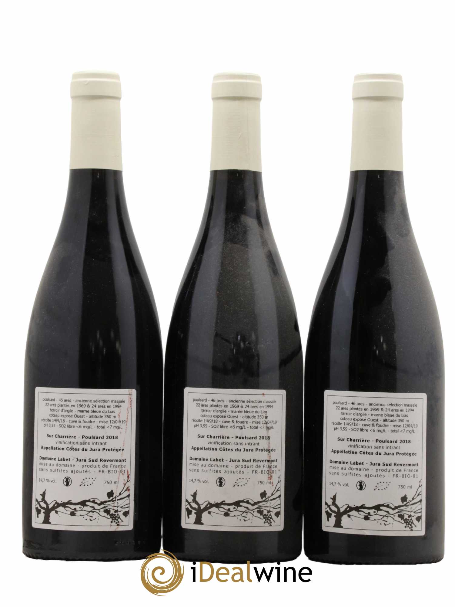 Côtes du Jura Poulsard Sur Charrière Romain - Julien - Charline Labet 2018 - Lot de 3 bouteilles - 1