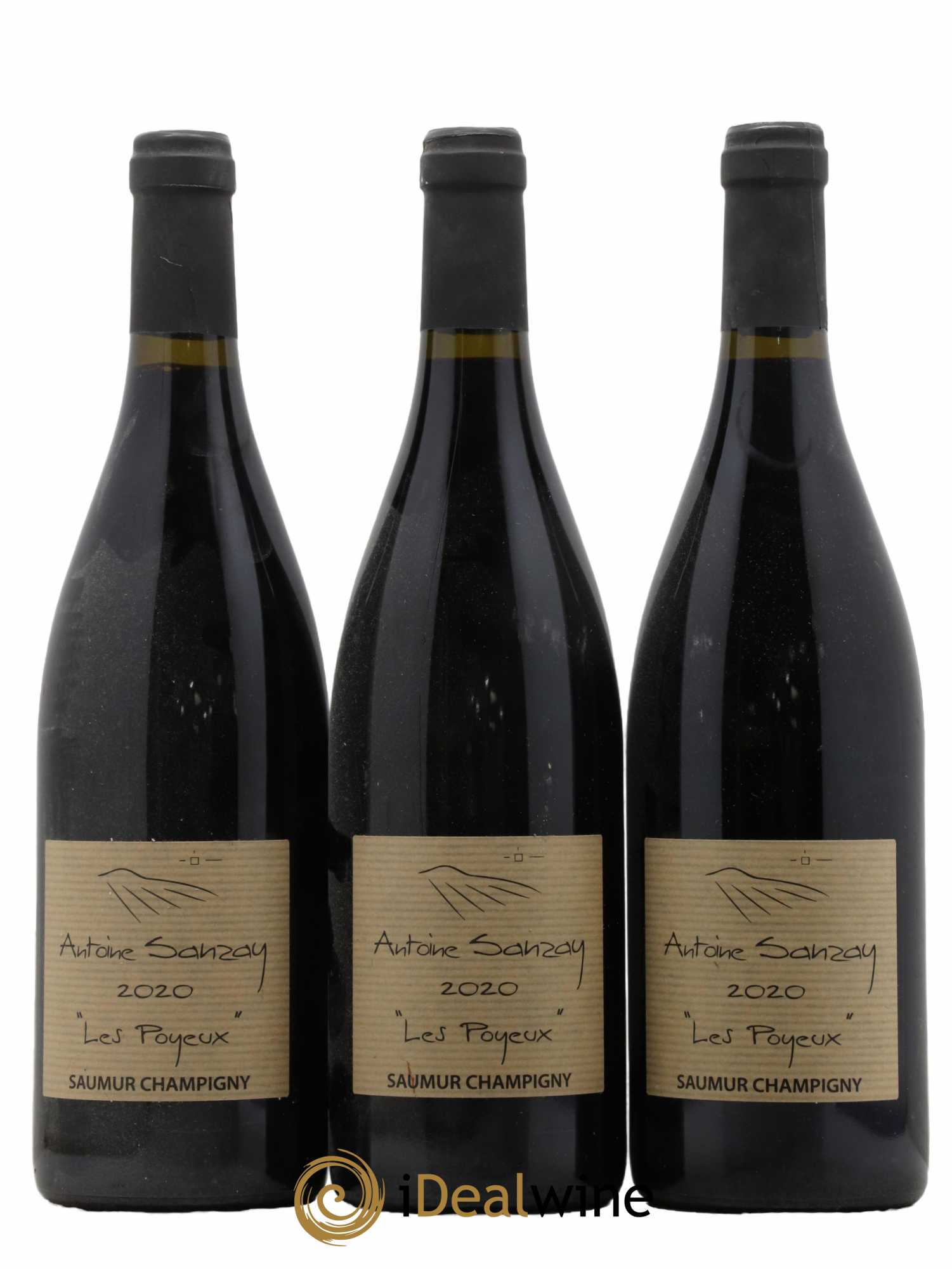 Saumur-Champigny Les Poyeux Antoine Sanzay 2020 - Lot de 3 bouteilles - 0
