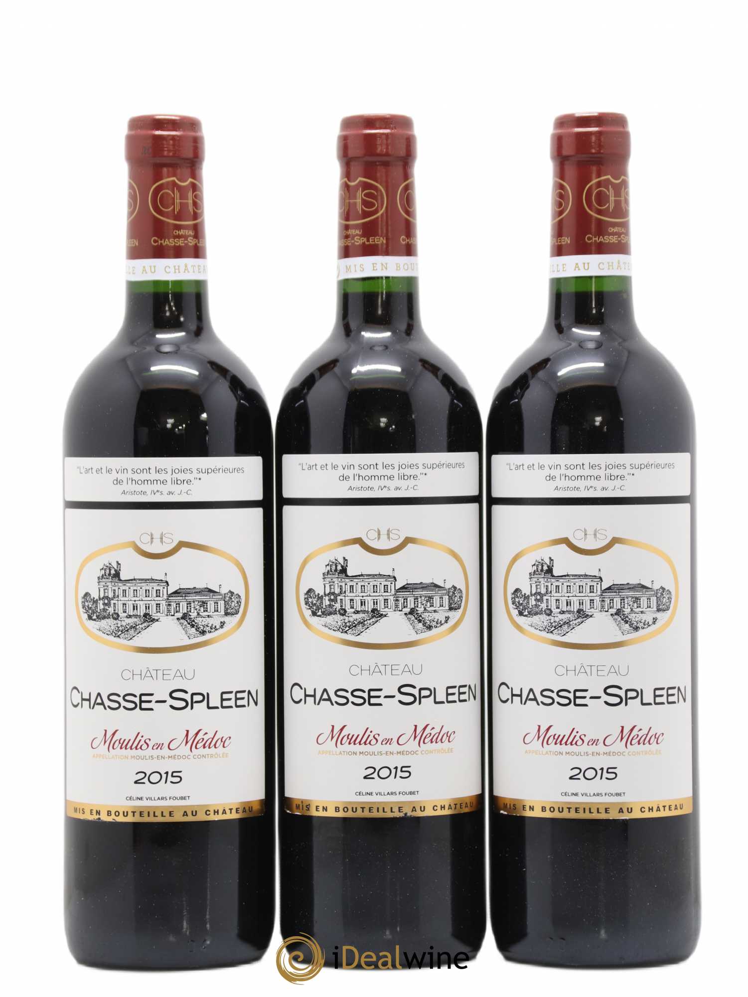 Château Chasse Spleen 2015 - Lot de 12 bouteilles - 4