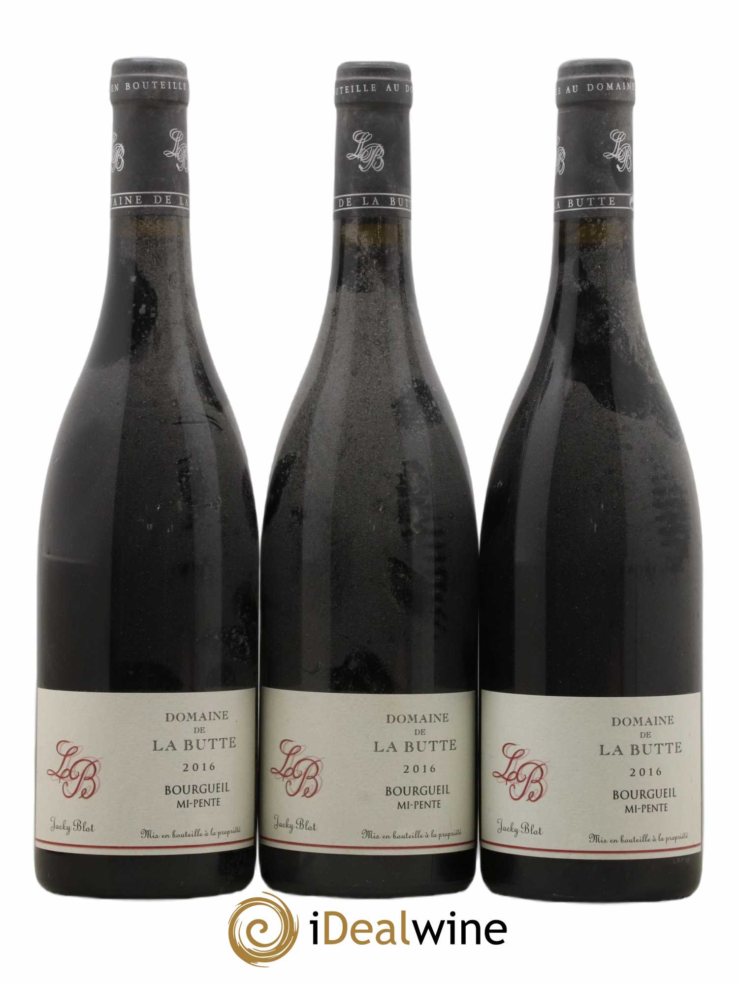 Bourgueil Mi-Pente Domaine de La Butte - Jacky Blot 2016 - Lot de 3 bouteilles - 0