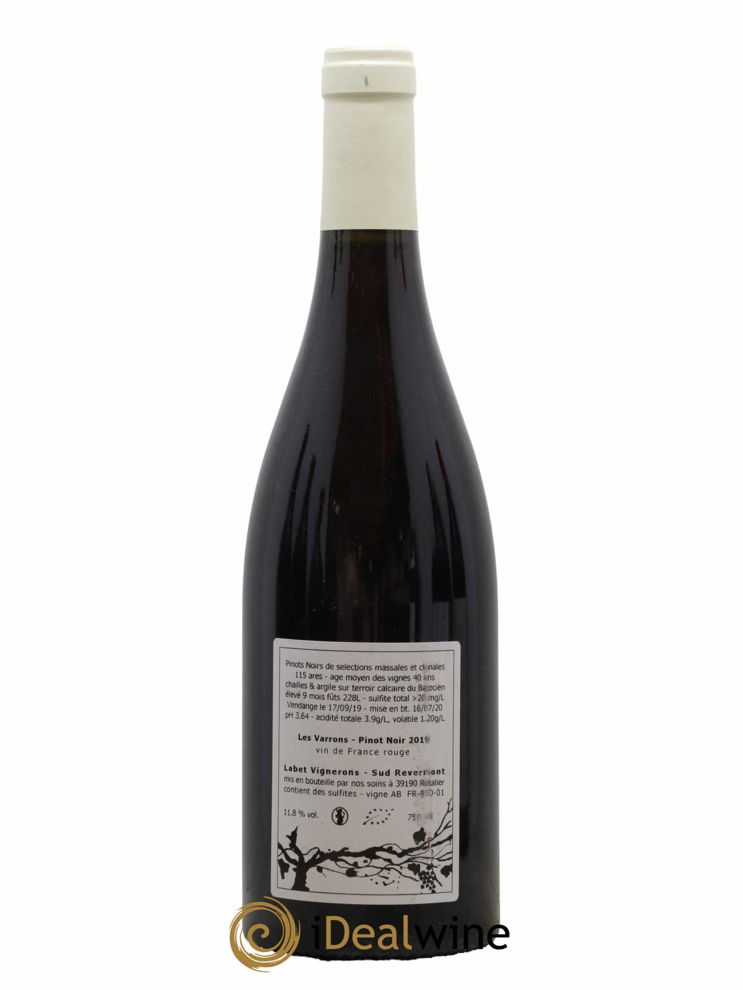 Côtes du Jura Pinot Noir Les Varrons Sélection Massale Romain - Julien - Charline Labet 2019 - Lot de 1 bouteille - 1