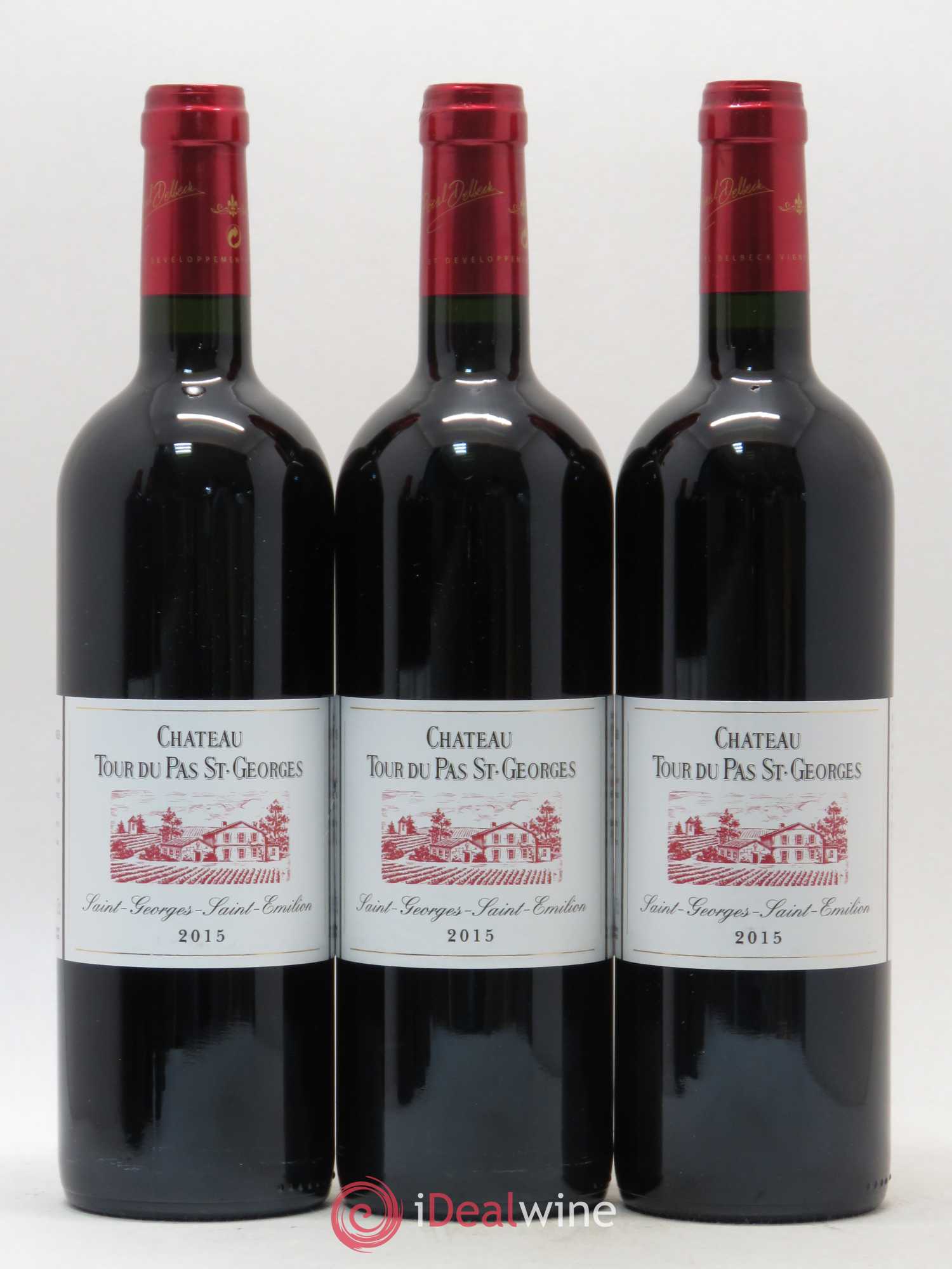 Saint-Georges-Saint-Émilion Château Tour du Pas St-Georges (sans prix de réserve) 2015 - Posten von 6 Flaschen - 2