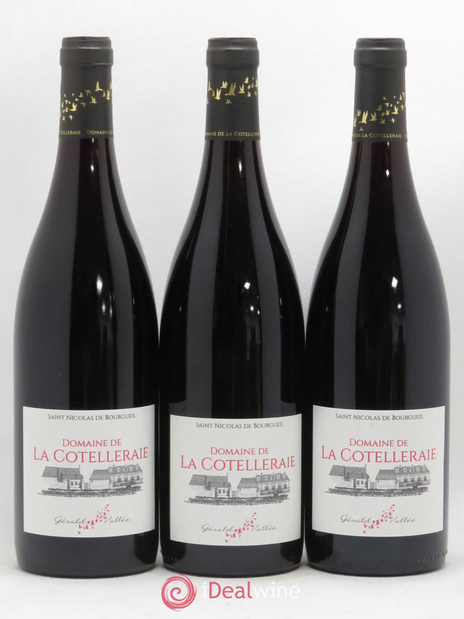 Saint-Nicolas de Bourgueil Domaine de La Cotelleraie (sans prix de réserve) 2018 - Posten von 3 Flaschen - 0