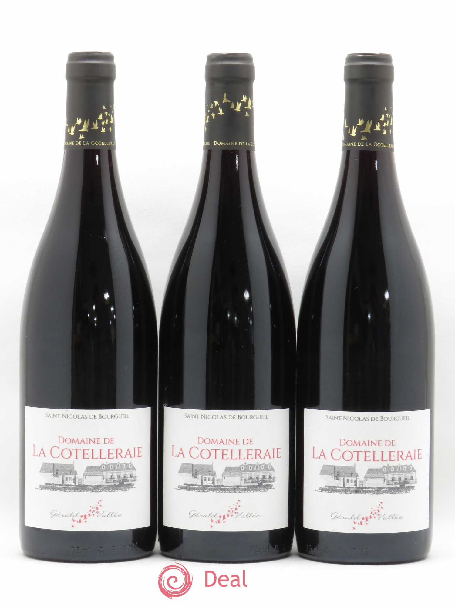 Saint-Nicolas de Bourgueil Domaine de La Cotelleraie (sans prix de réserve) 2018 - Posten von 3 Flaschen - 0