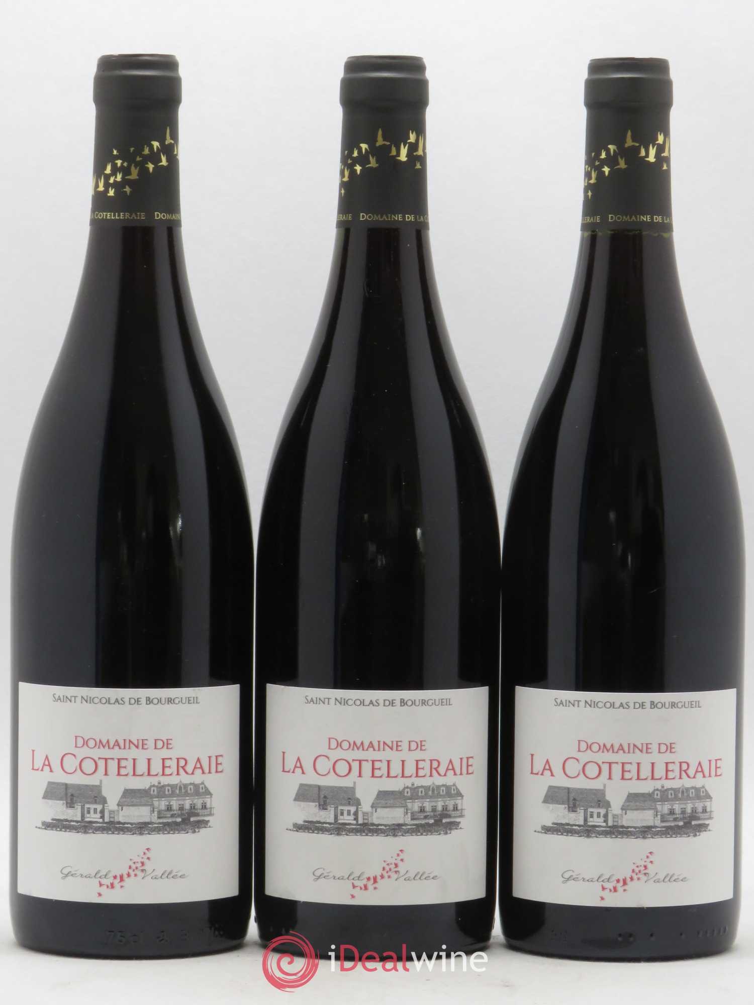 Saint-Nicolas de Bourgueil Domaine de la Cotelleraie (sans prix de réserve) 2018 - Posten von 3 Flaschen - 0