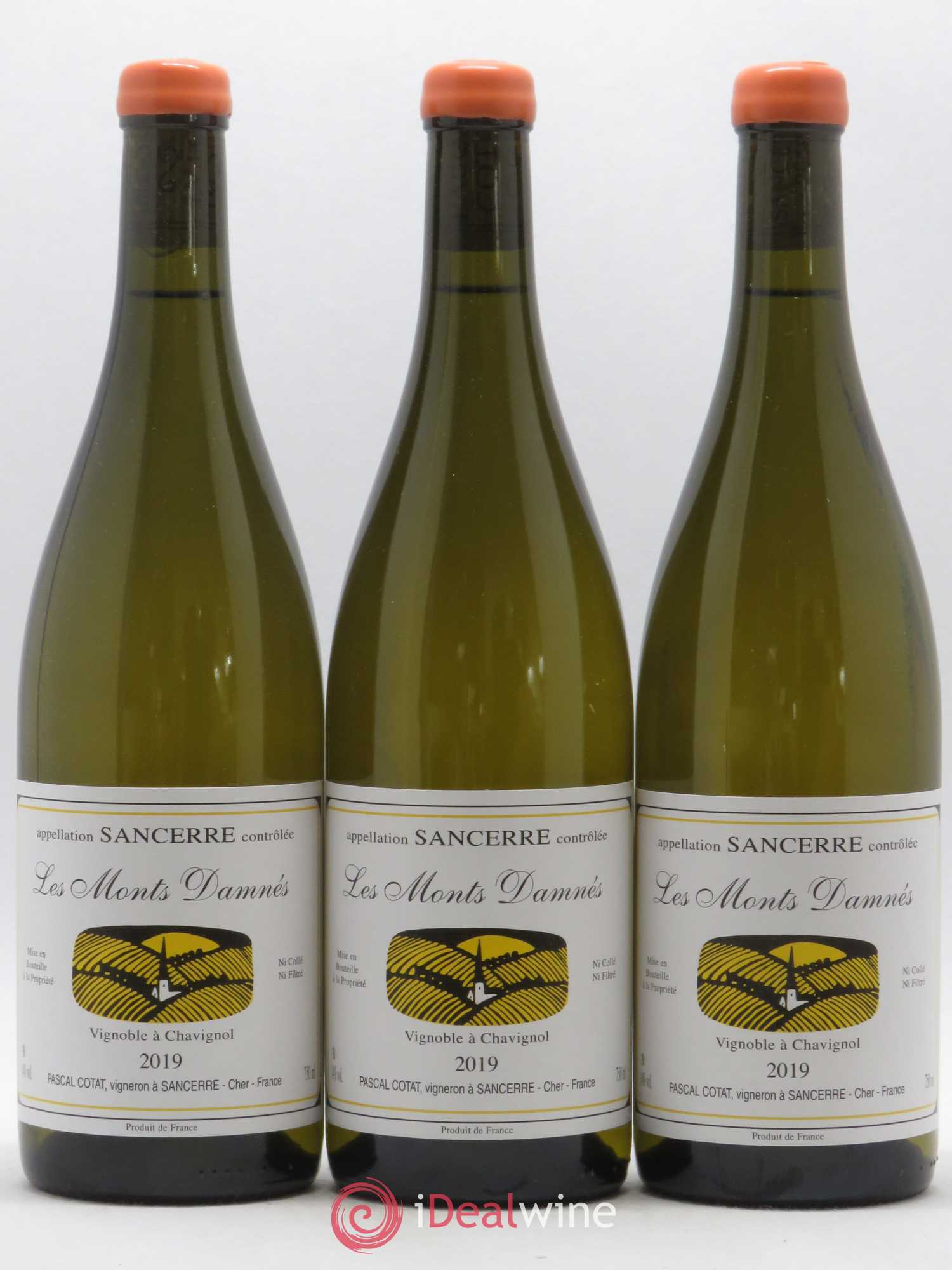 Sancerre Les Monts Damnés Pascal Cotat (sans prix de réserve) 2019 - Lot de 3 bouteilles - 0