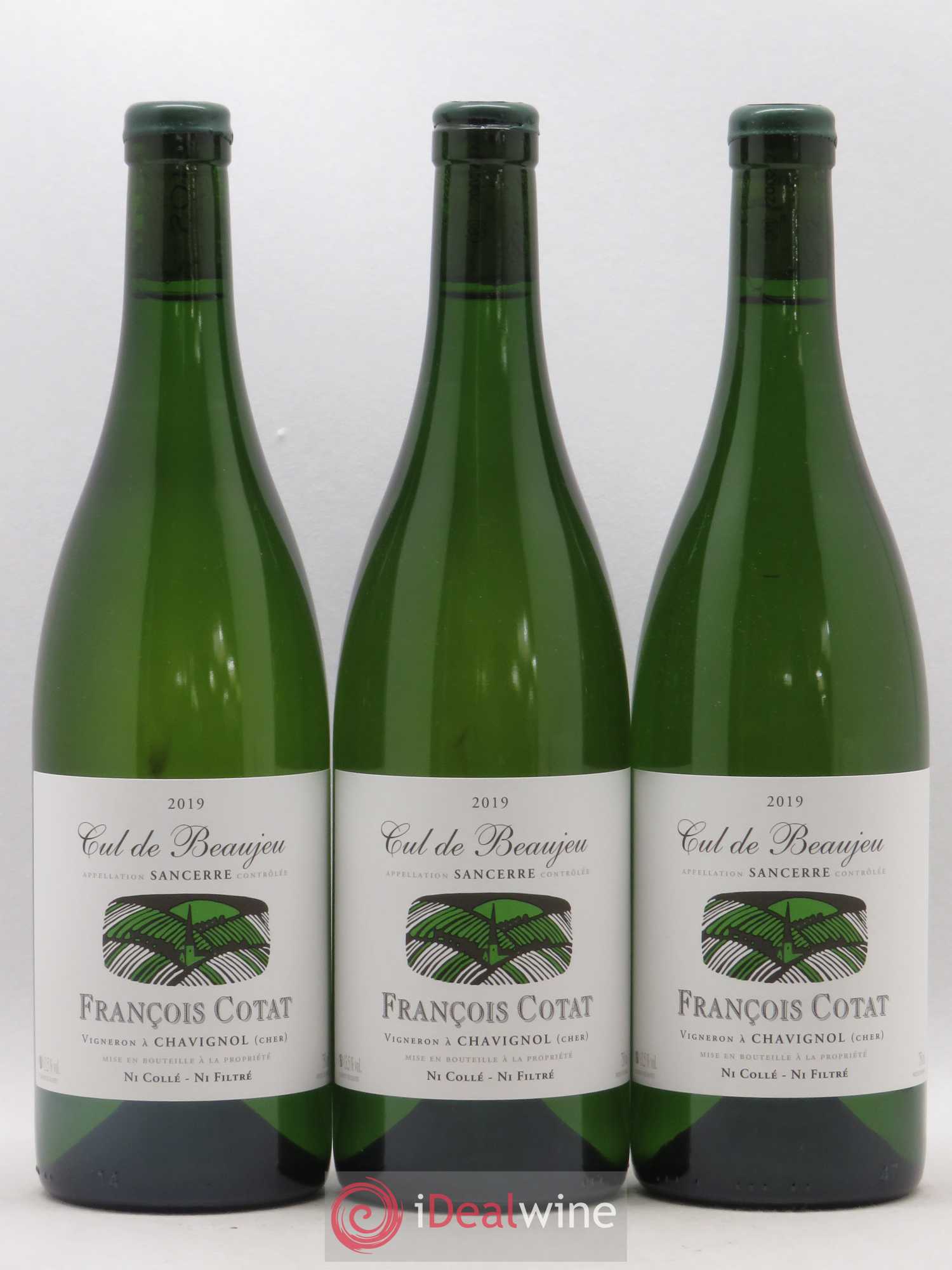 Sancerre Les Culs de Beaujeu François Cotat 2019 - Posten von 3 Flaschen - 0