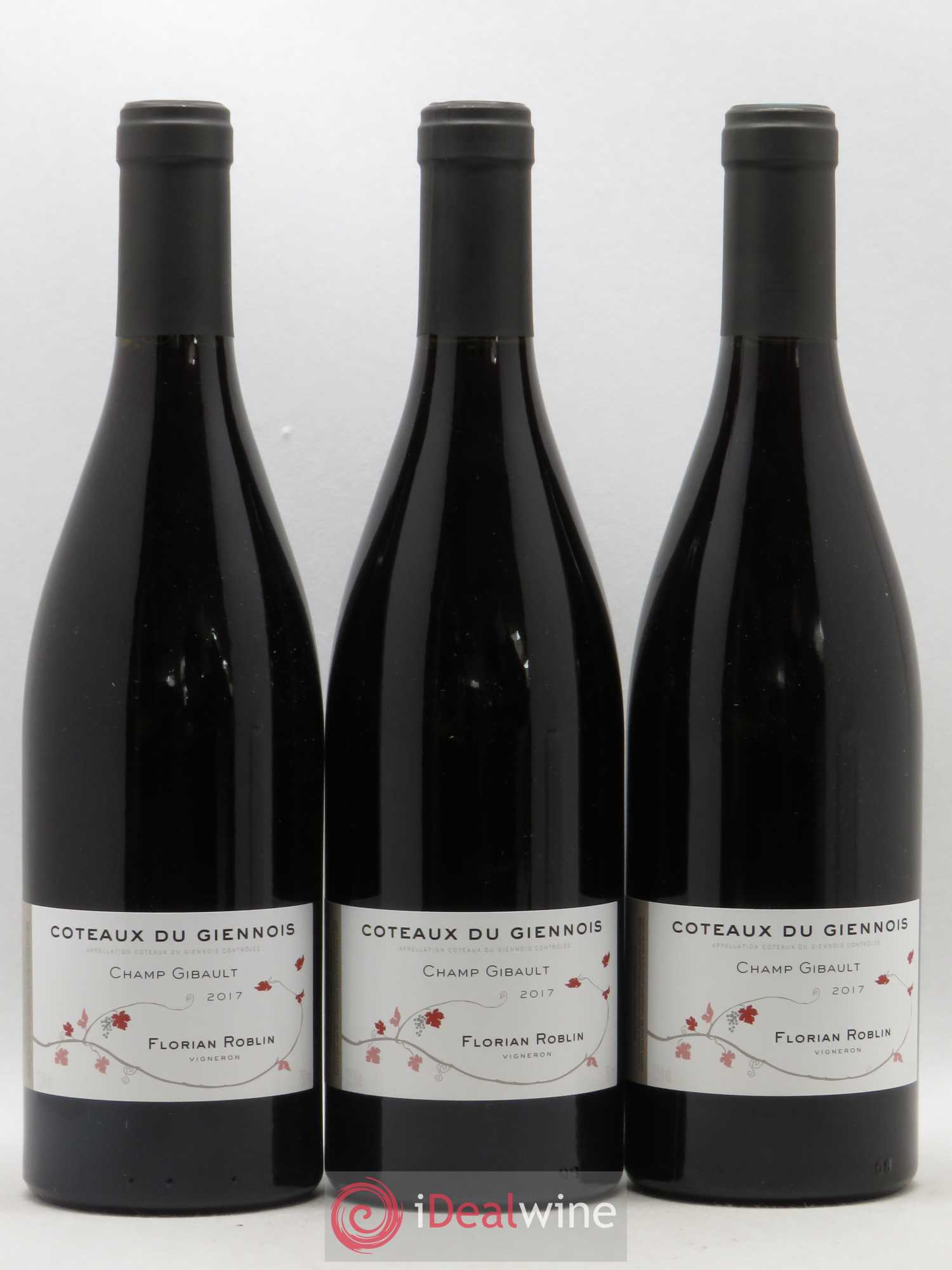 Divers Coteaux du Giennois Florian Roblin Champ Gibault (sans prix de reserve) 2017 - Posten von 3 Flaschen - 0
