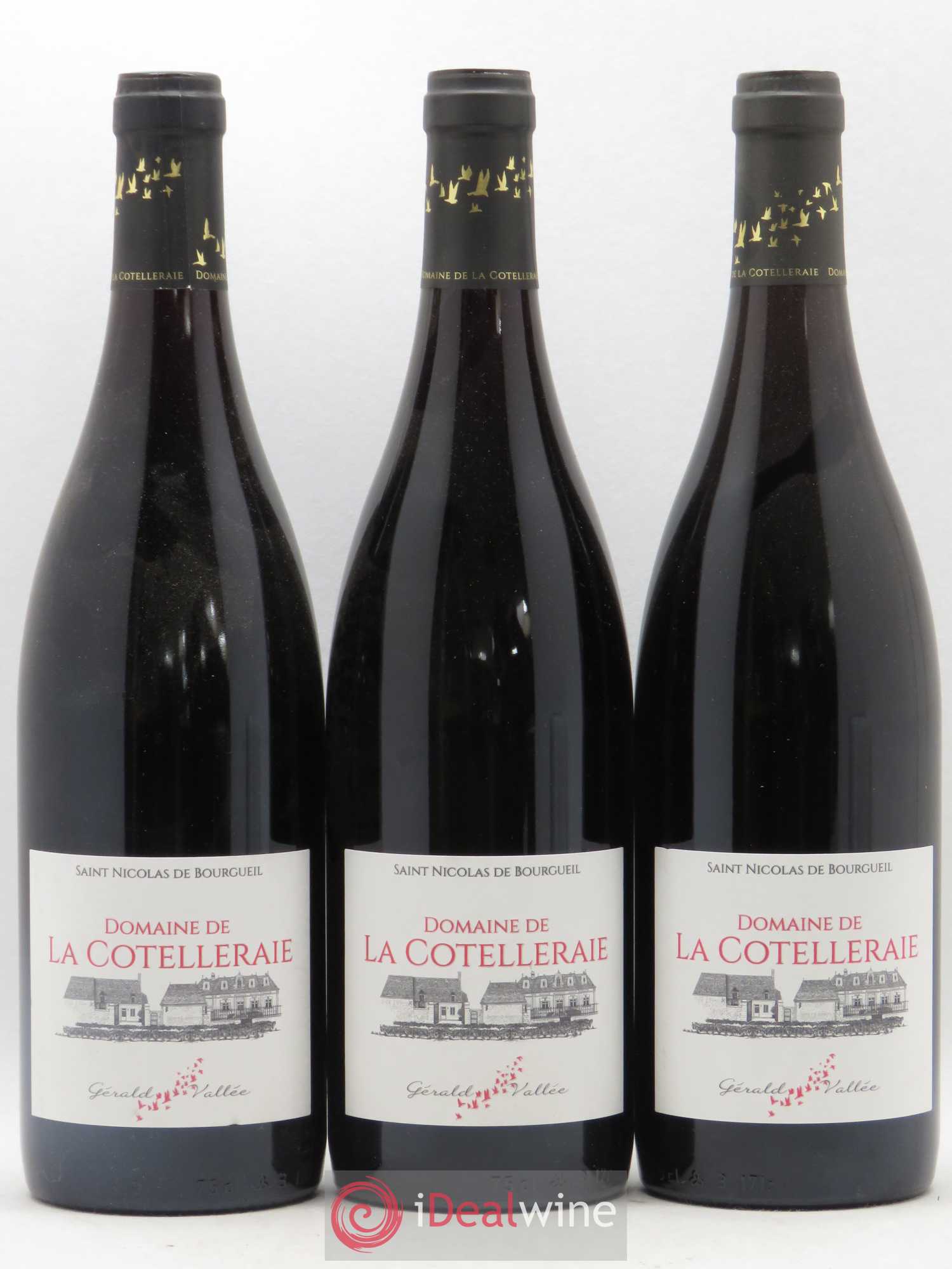 Saint-Nicolas de Bourgueil Domaine de La Cotelleraie (sans prix de reserve) 2018 - Posten von 3 Flaschen - 0