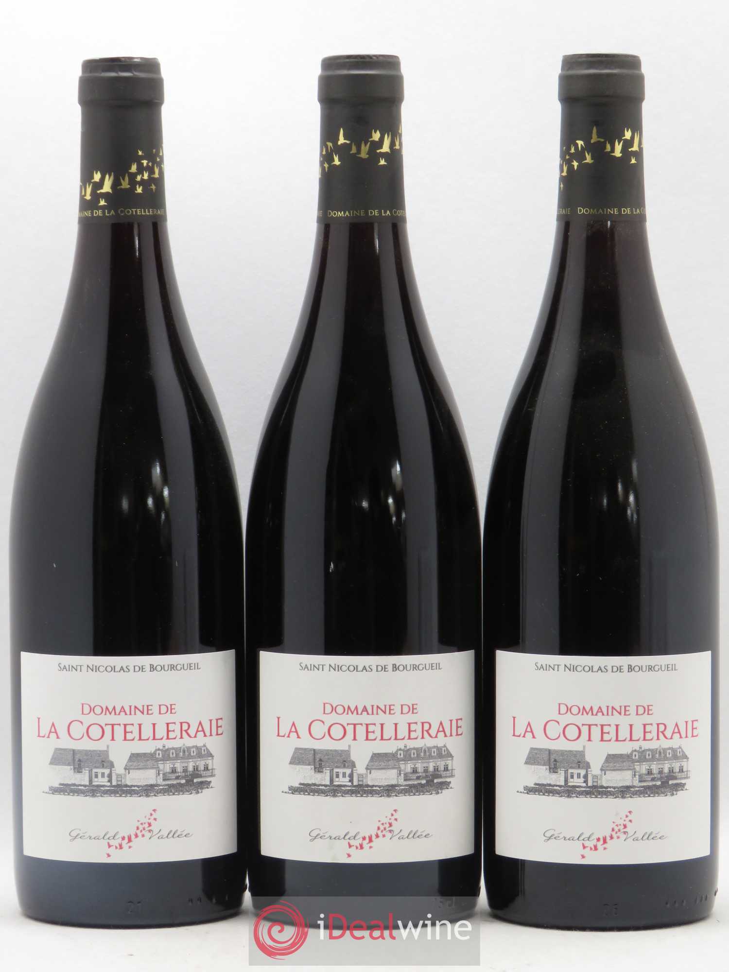 Saint-Nicolas de Bourgueil Domaine La Cotelleraie (sans prix de reserve) 2018 - Posten von 3 Flaschen - 0