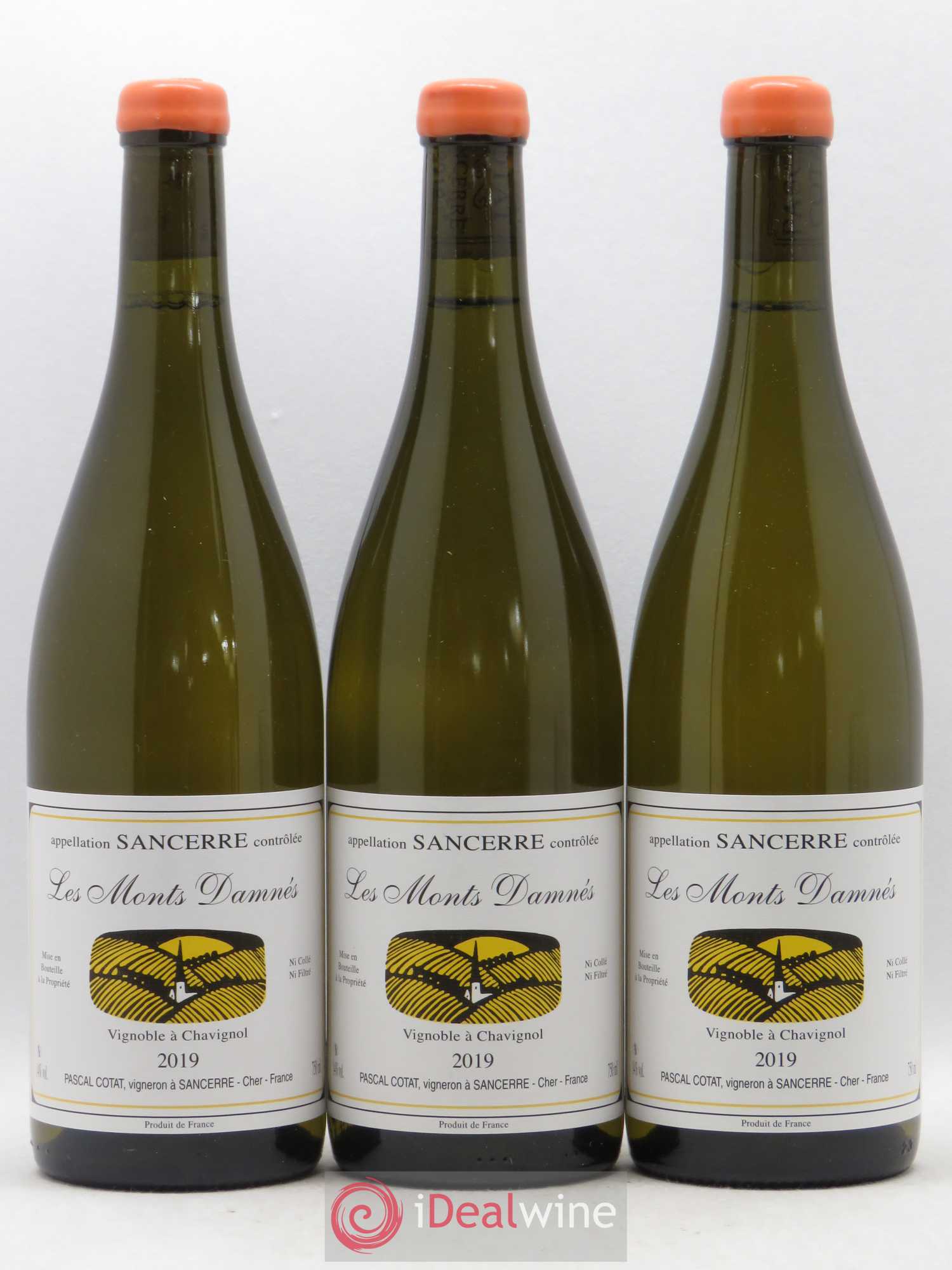 Sancerre Les Monts Damnés Pascal Cotat 2019 - Posten von 3 Flaschen - 0